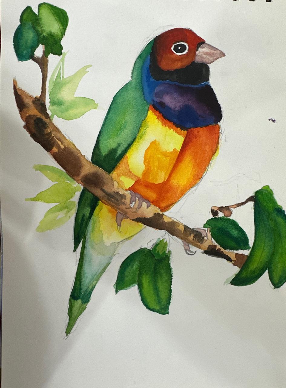 Symphony of Tropical Colors by Sharathvignesh Shenthilkumar, depicting a vividly colored bird on a branch