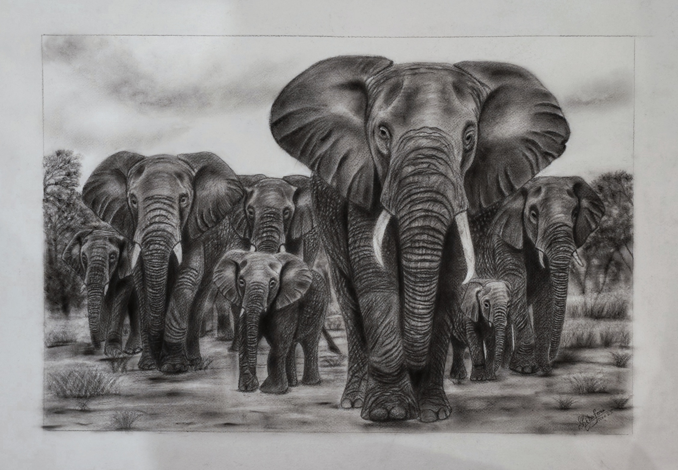 Majestic giants -Graphite by SHIBA VARGHESE, detailed elephants in savanna