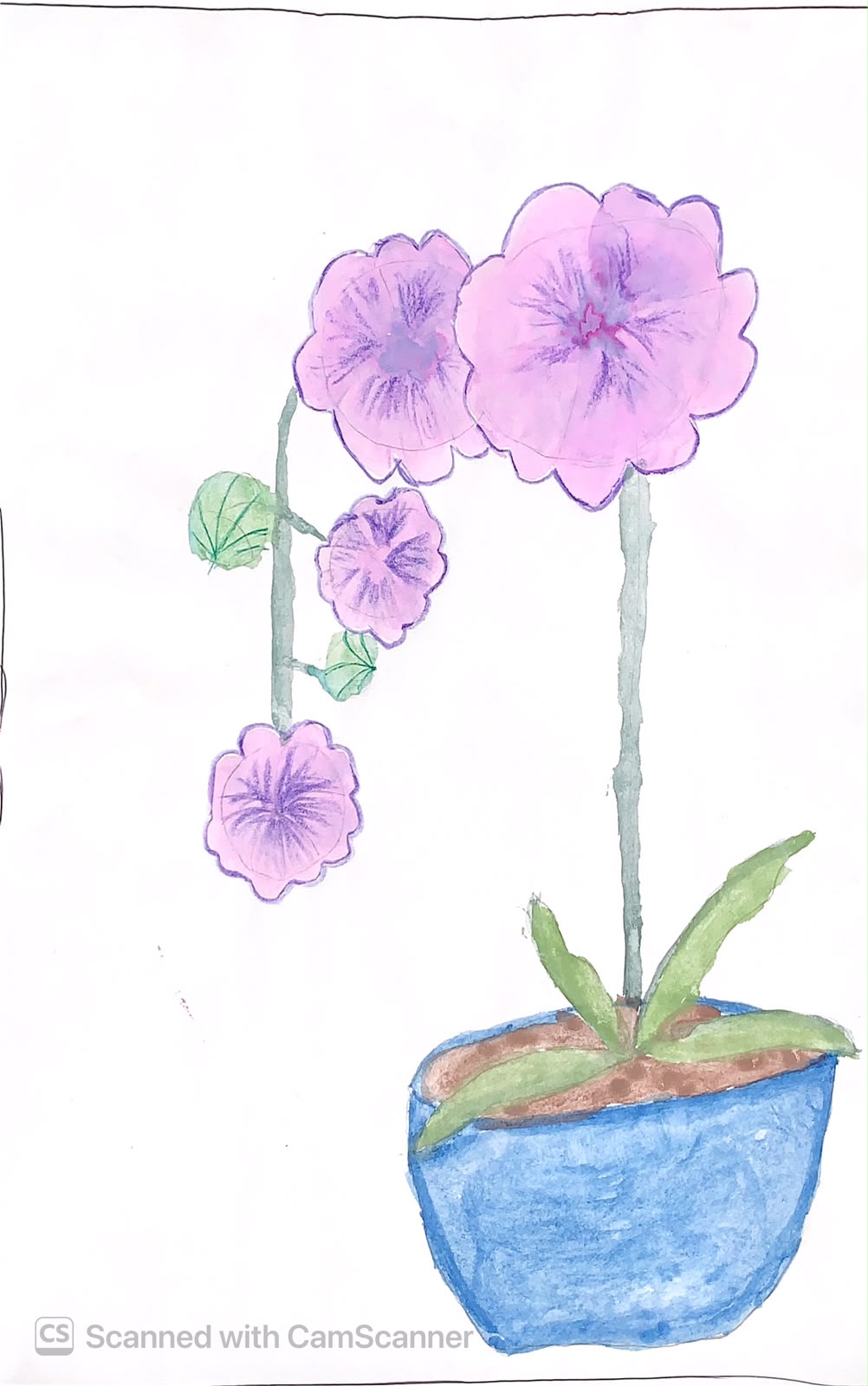 Purple flower pot by Shravya Vinayak Kolindrekar - blue pot with purple flowers
