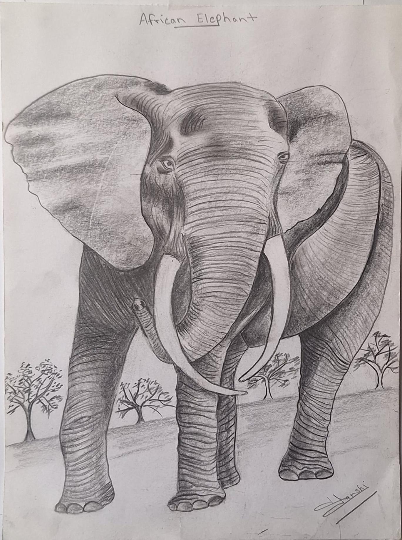 Monarch of the Savannah by Hanshika Raevynn Hudson Leo, detailed graphite drawing of an African elephant