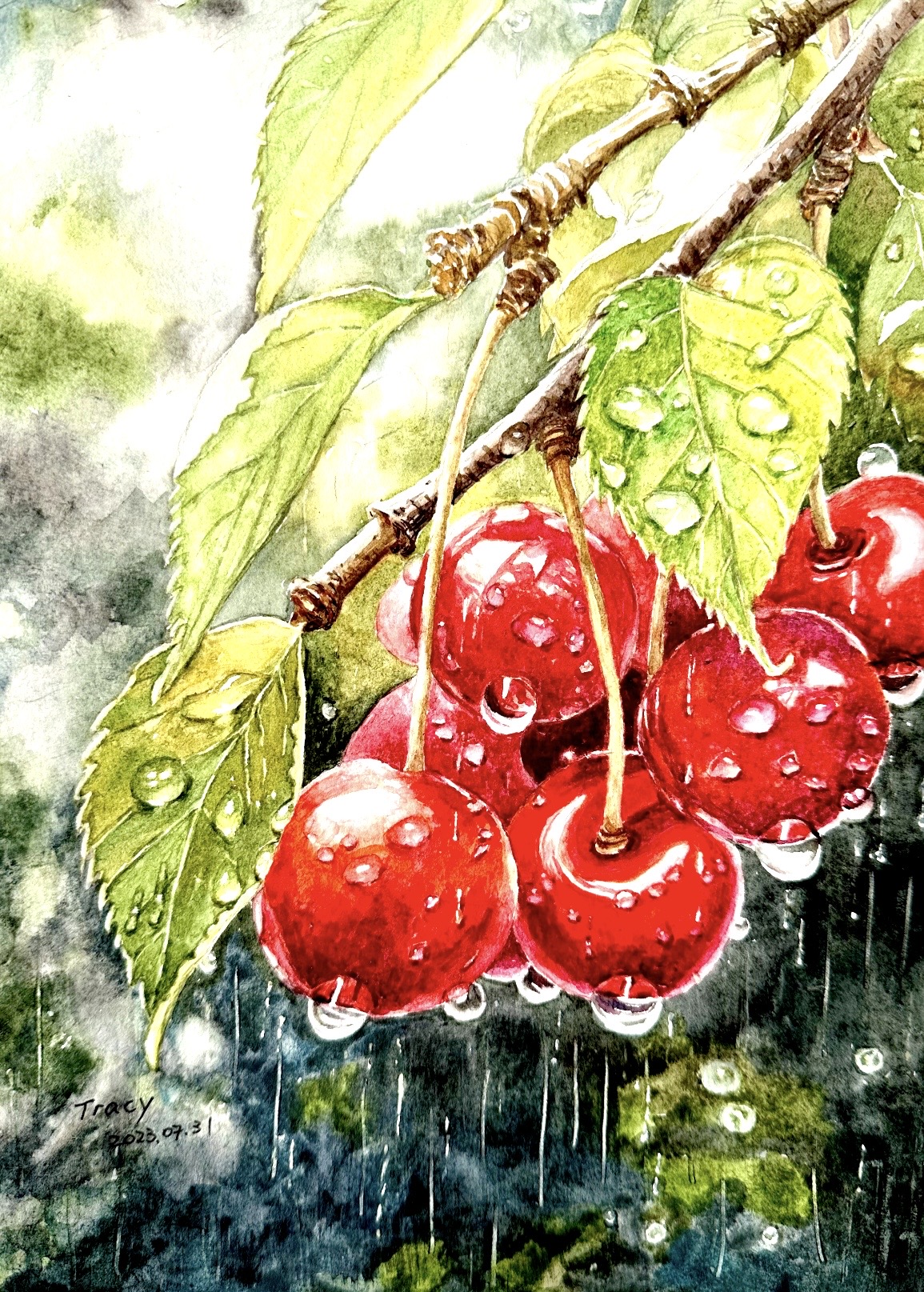 Cherry in the rain by Qun ( Tracy) Chen, watercolor of cherries and leaves in rain