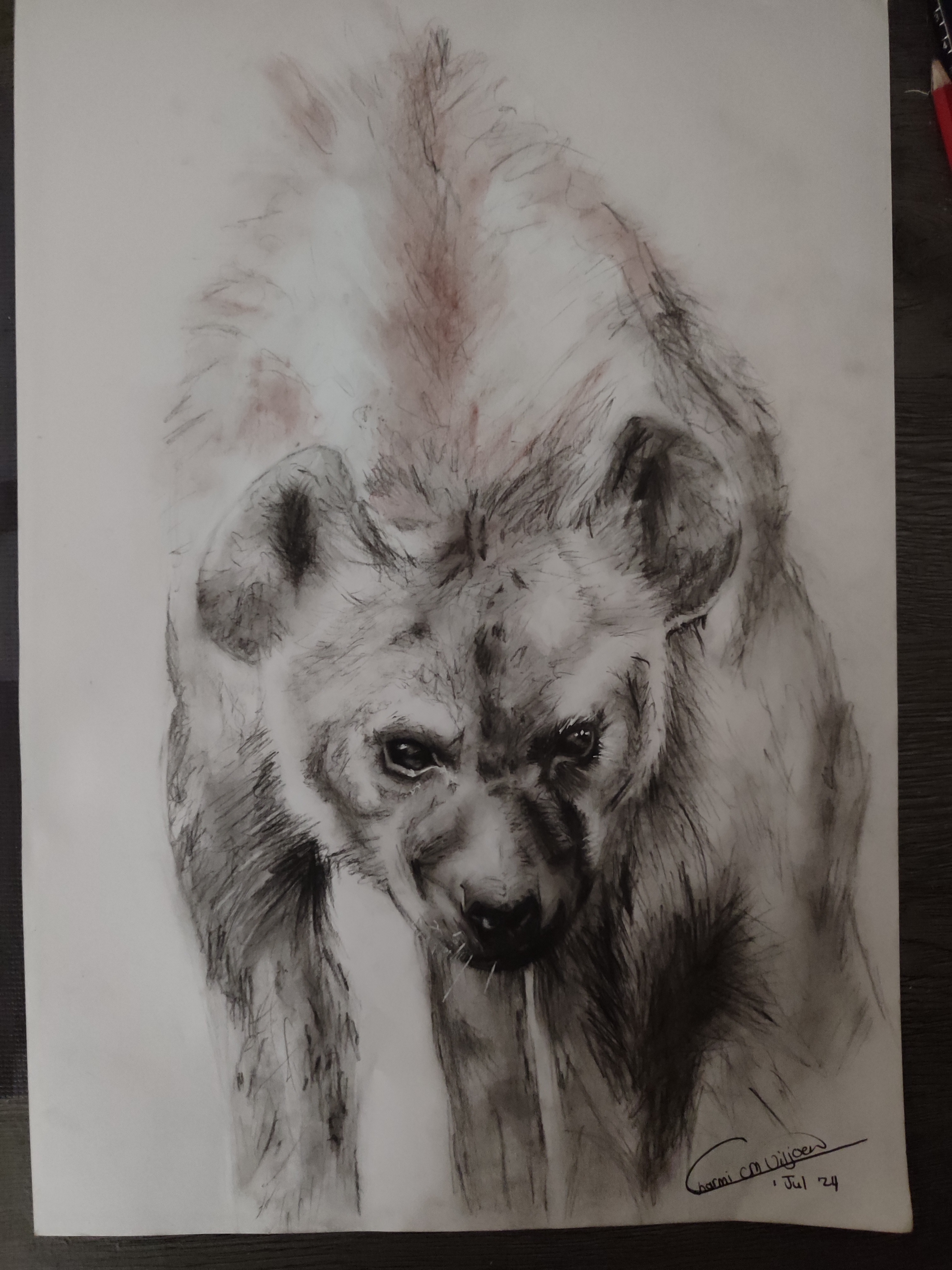 Shadow Of The Night by Christina van der Westhuizen features a monochrome hyena