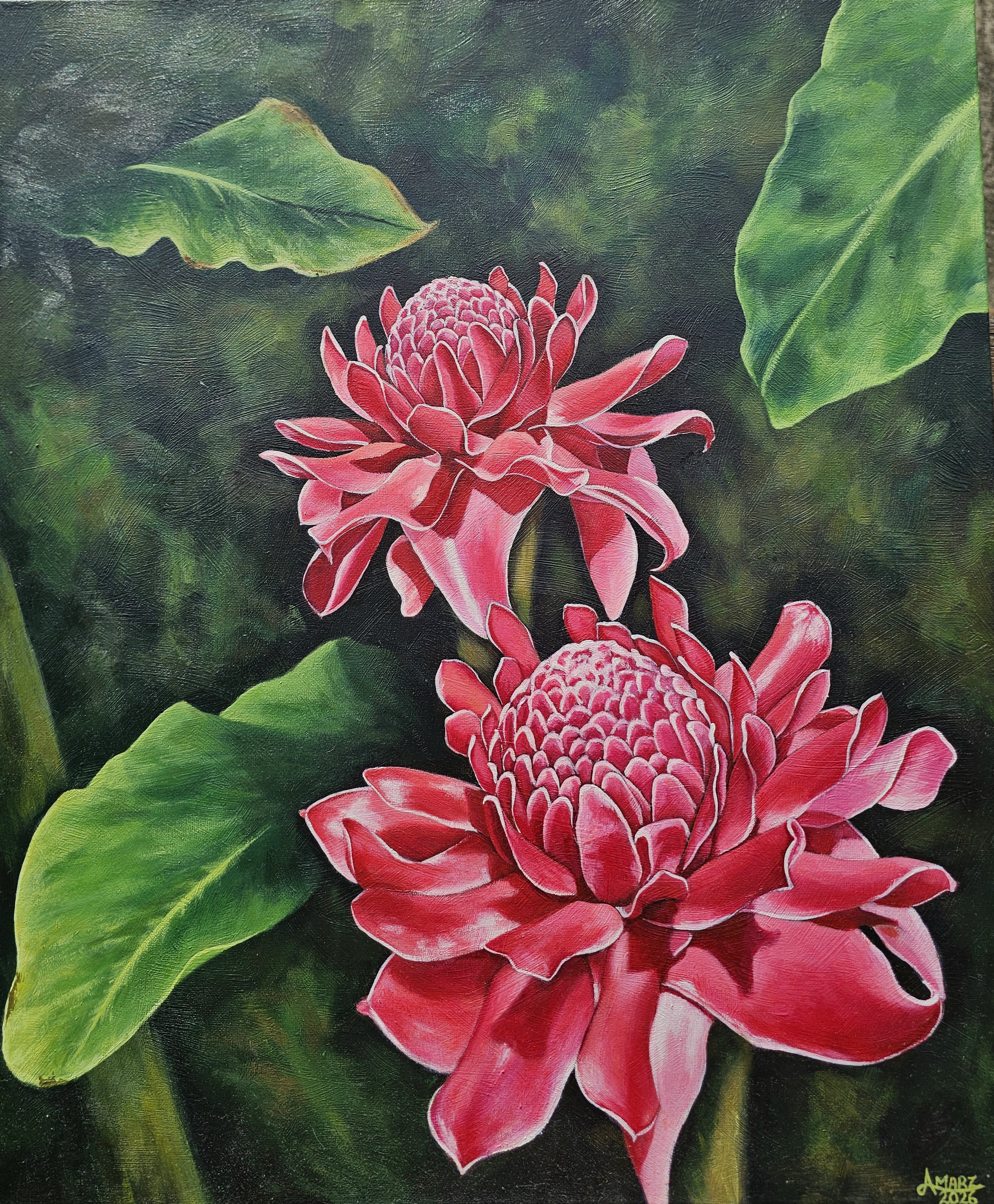 The Heart of the Garden by Angela Marzocchi depicting torch ginger flowers