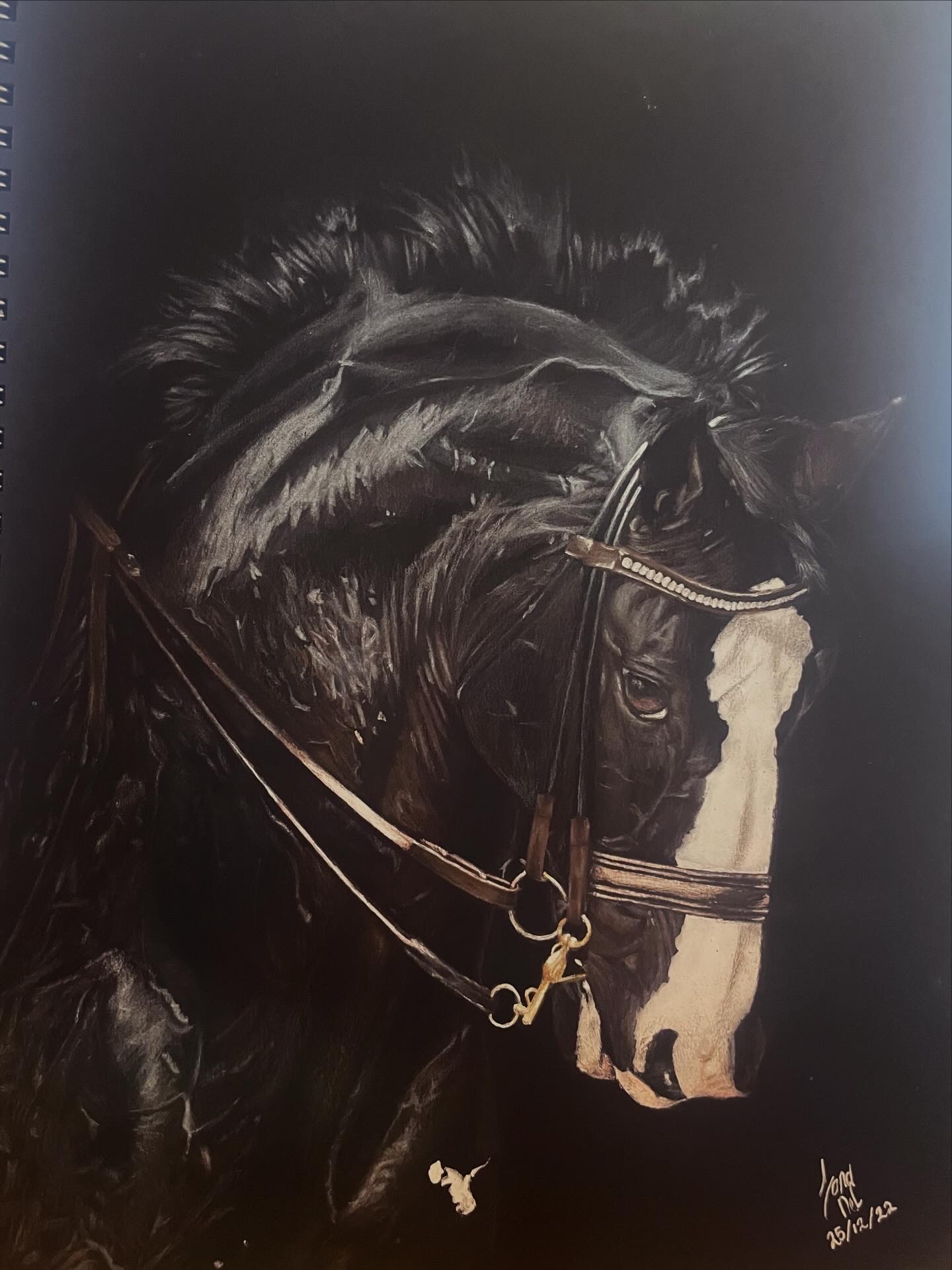 Noble reins by Jana Coetzee, majestic horse with dark mane and white blaze