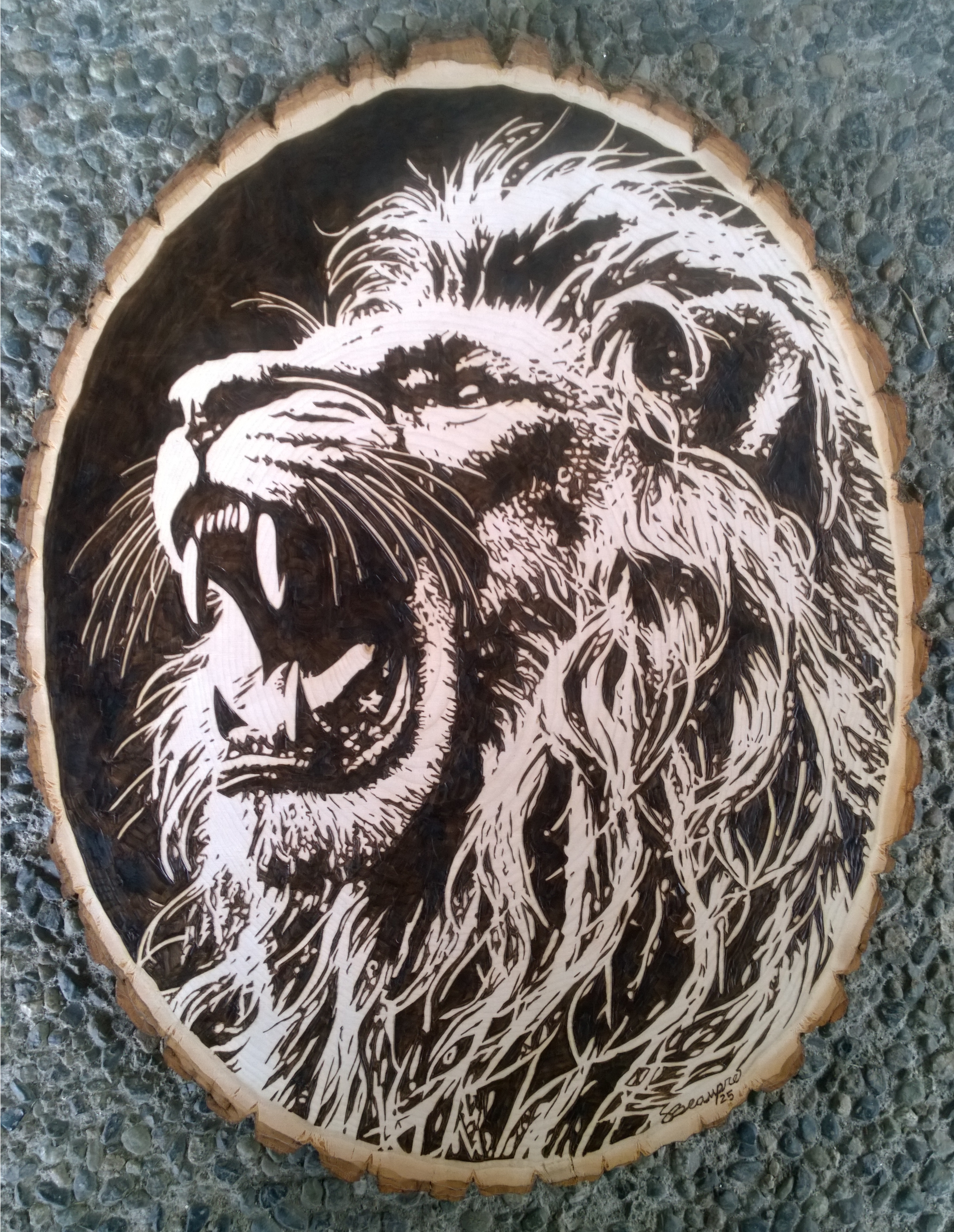Growling Lion by Scott Beaupre - portrait on circular wooden surface