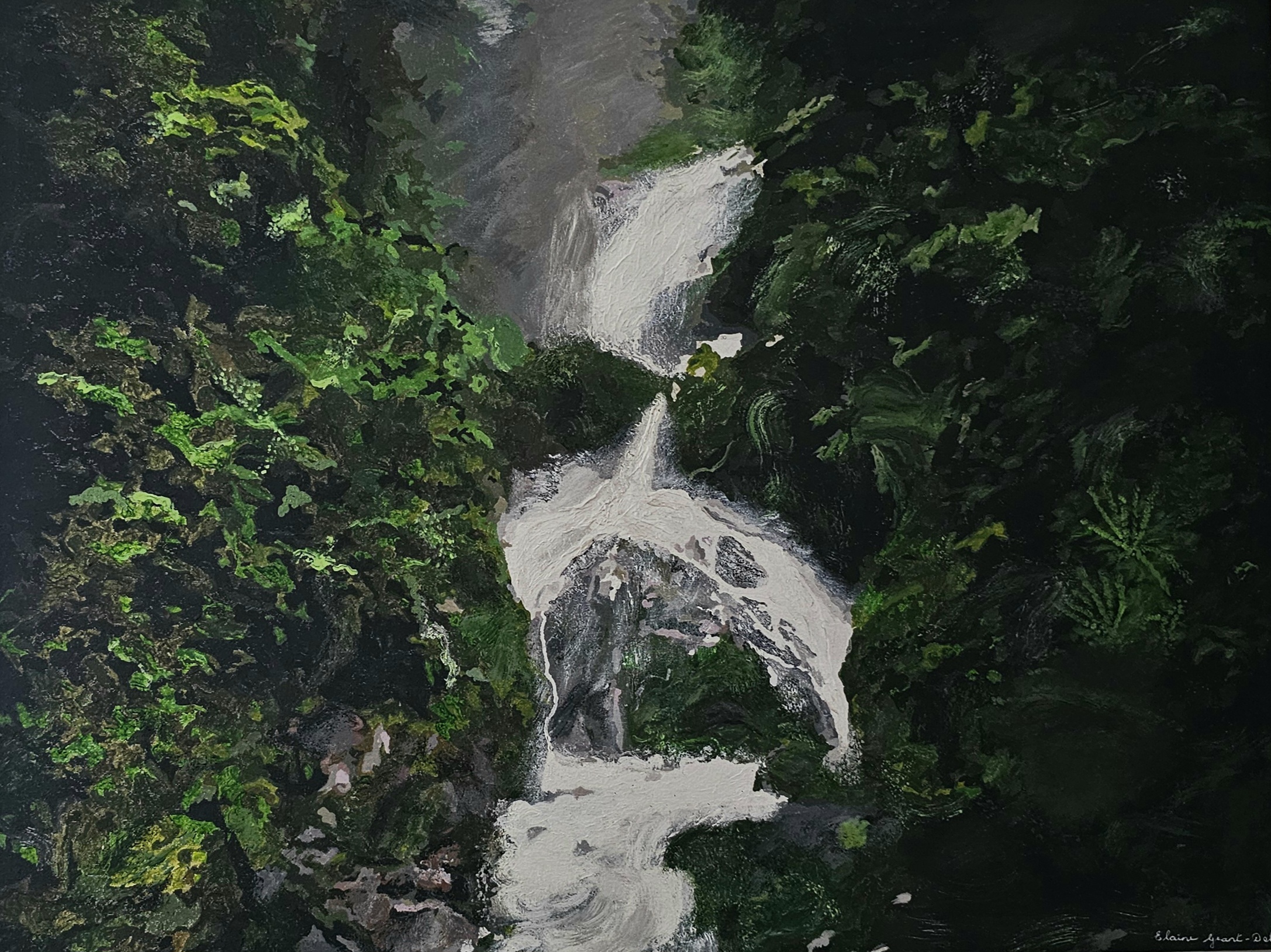 Elaine Grant-Dolby by Elaine Grant-Dolby, waterfall in lush landscape