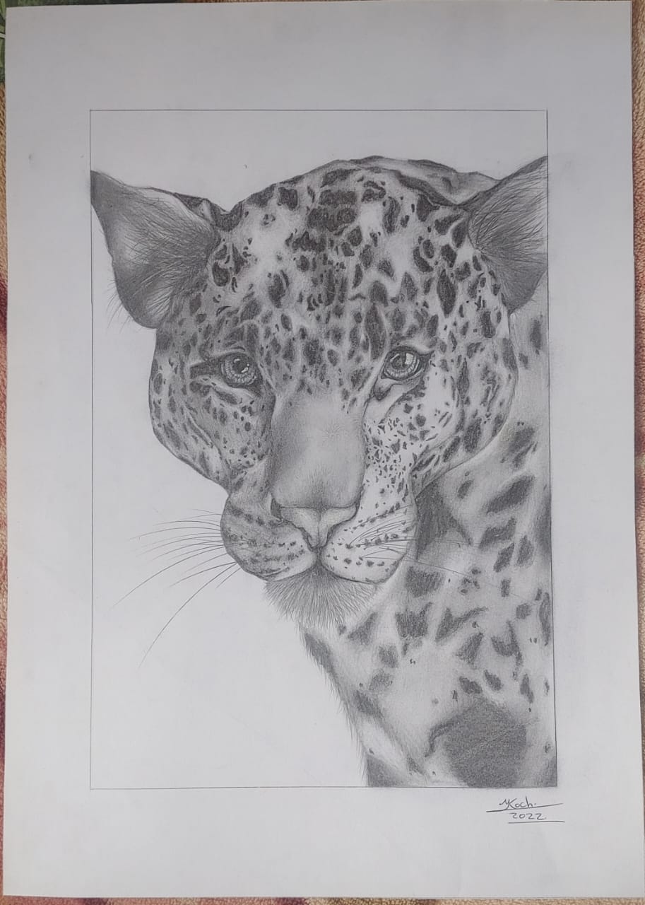 Eyes of the Wild by Yolandi Koch, detailed leopard portrait with expressive eyes