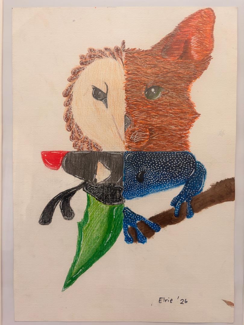 Animal Diversity by Elrie Geldenhuys, featuring a fox, owl, frog, and insect in a square layout