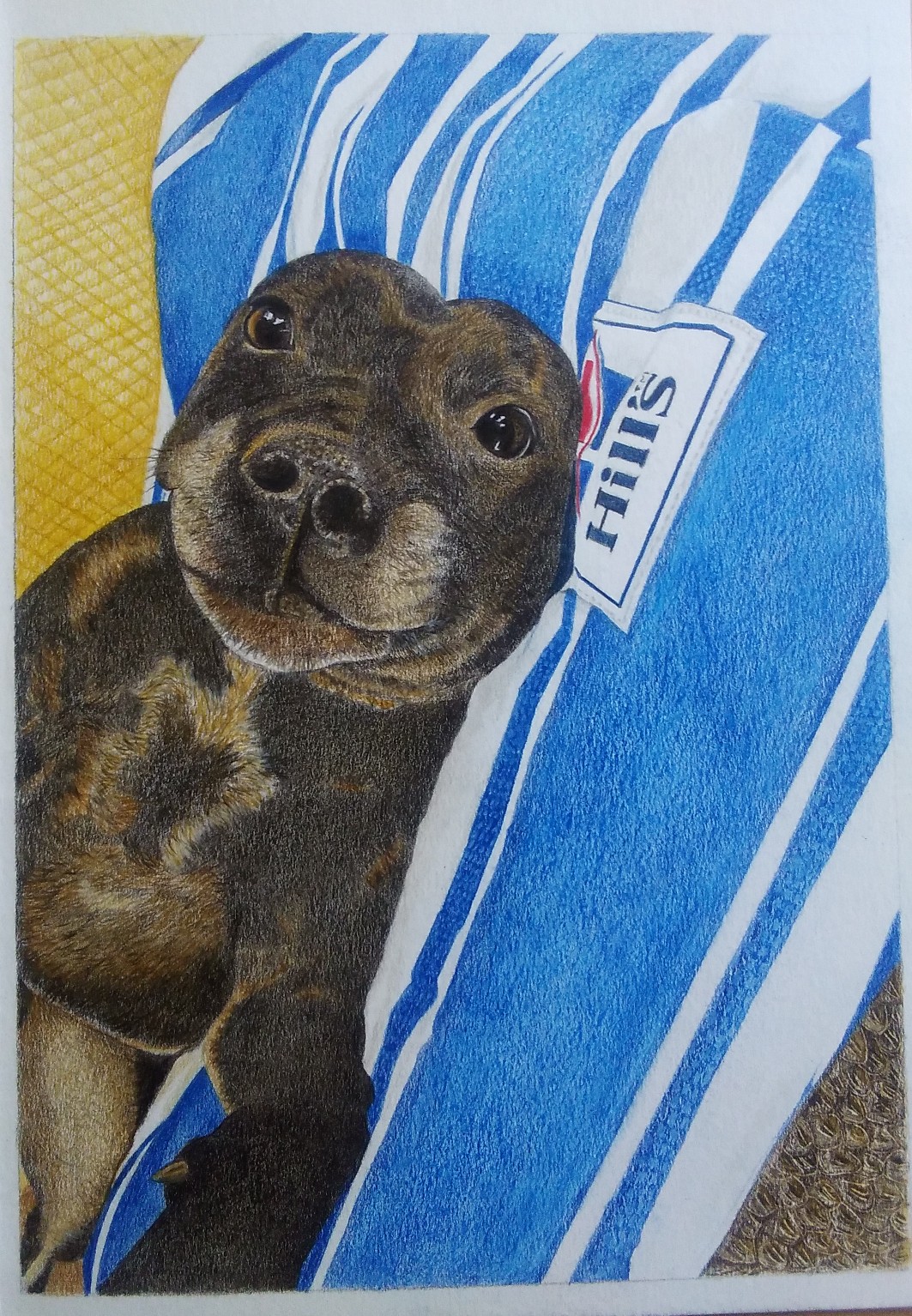 Kimberlee by Sharon DragonRose, realistic depiction of a dog on a striped surface