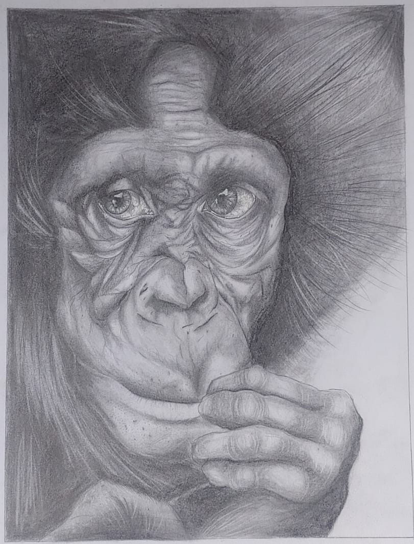 A Thoughtful Soul by Yolandi Koch, depicting a thoughtful chimpanzee