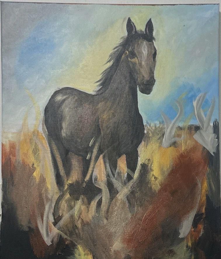 Majesty in the Golden Field by Sharathvignesh Shenthilkumar, featuring a dark horse in a warm-toned field