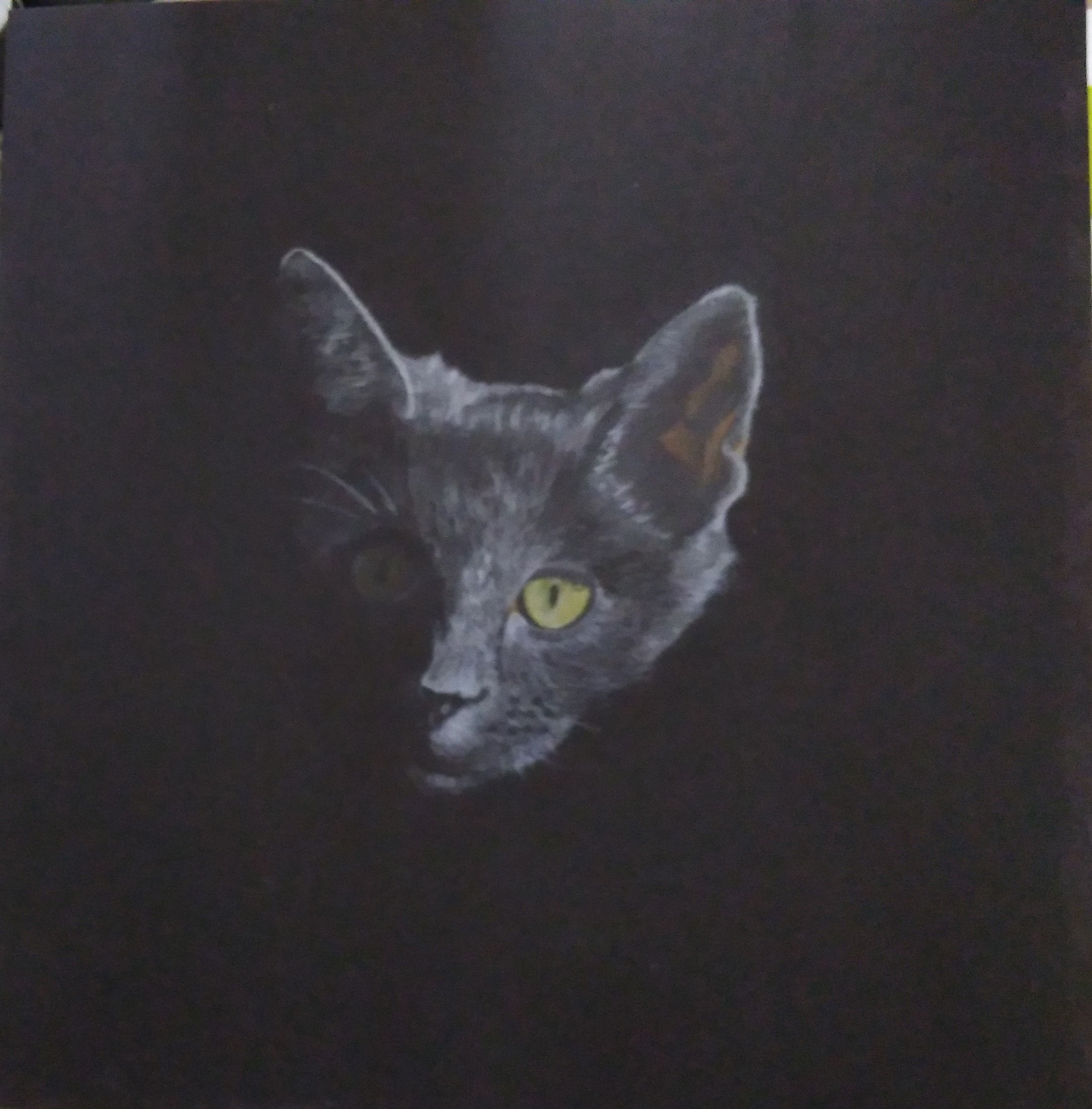 Shadow by Sharon DragonRose - a cat's face emerging from shadows