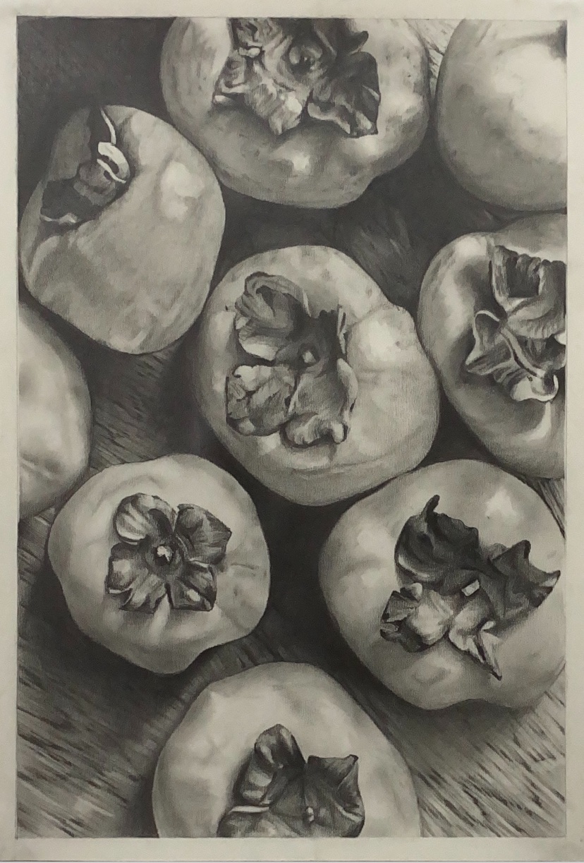 THE PERSIMMONS by Sabeeha Aslam, pencil sketch of persimmons