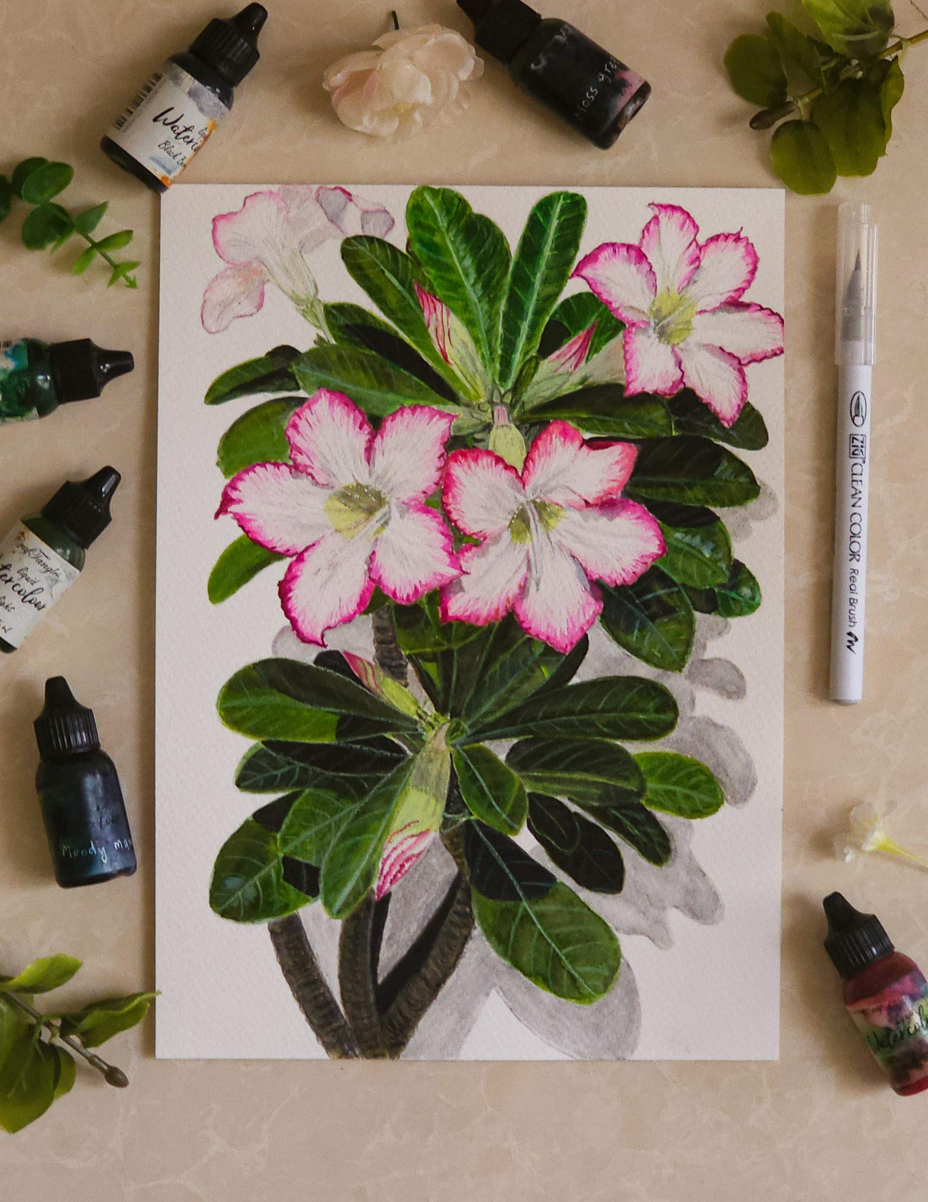 Blooming Desert Roses by Rahmat Gouse, vibrant portrayal of desert roses with bright pink and white blooms