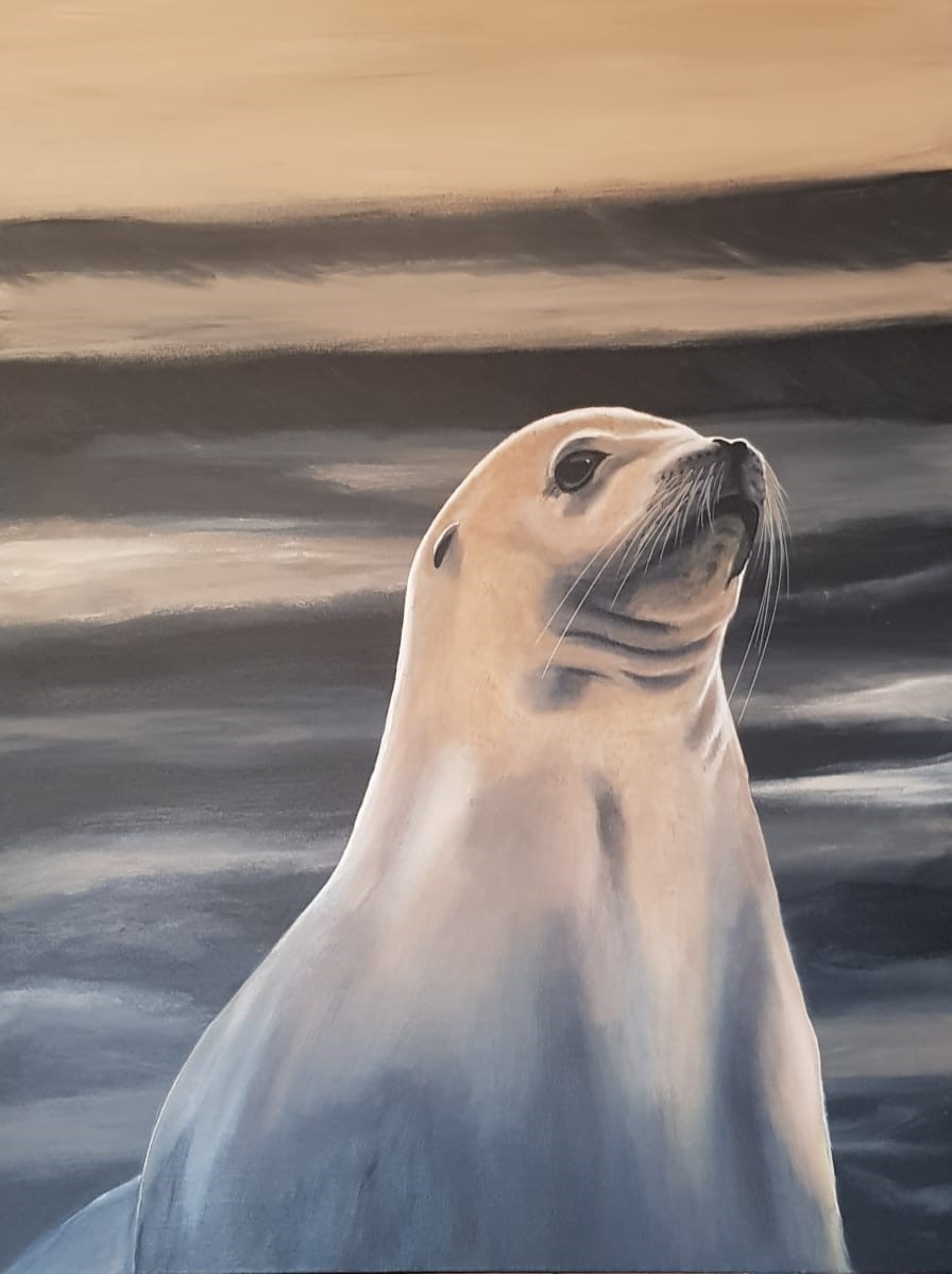 Luka by Marelize Huysamen, close-up of a seal with expressive eyes and ocean waves