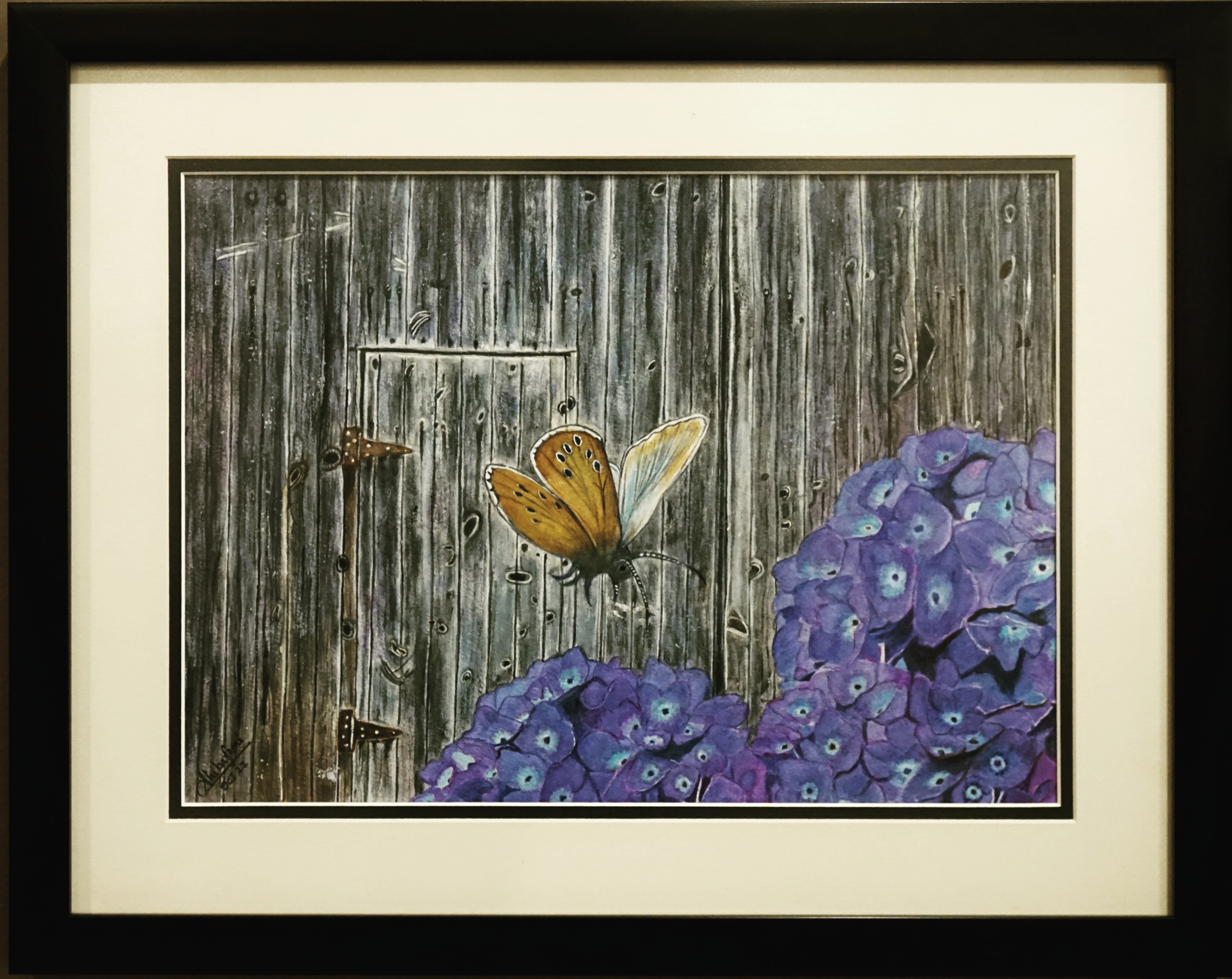 Hydrangea Visitor- Watercolour by SHIBA VARGHESE, depicting a butterfly and rich purple hydrangeas
