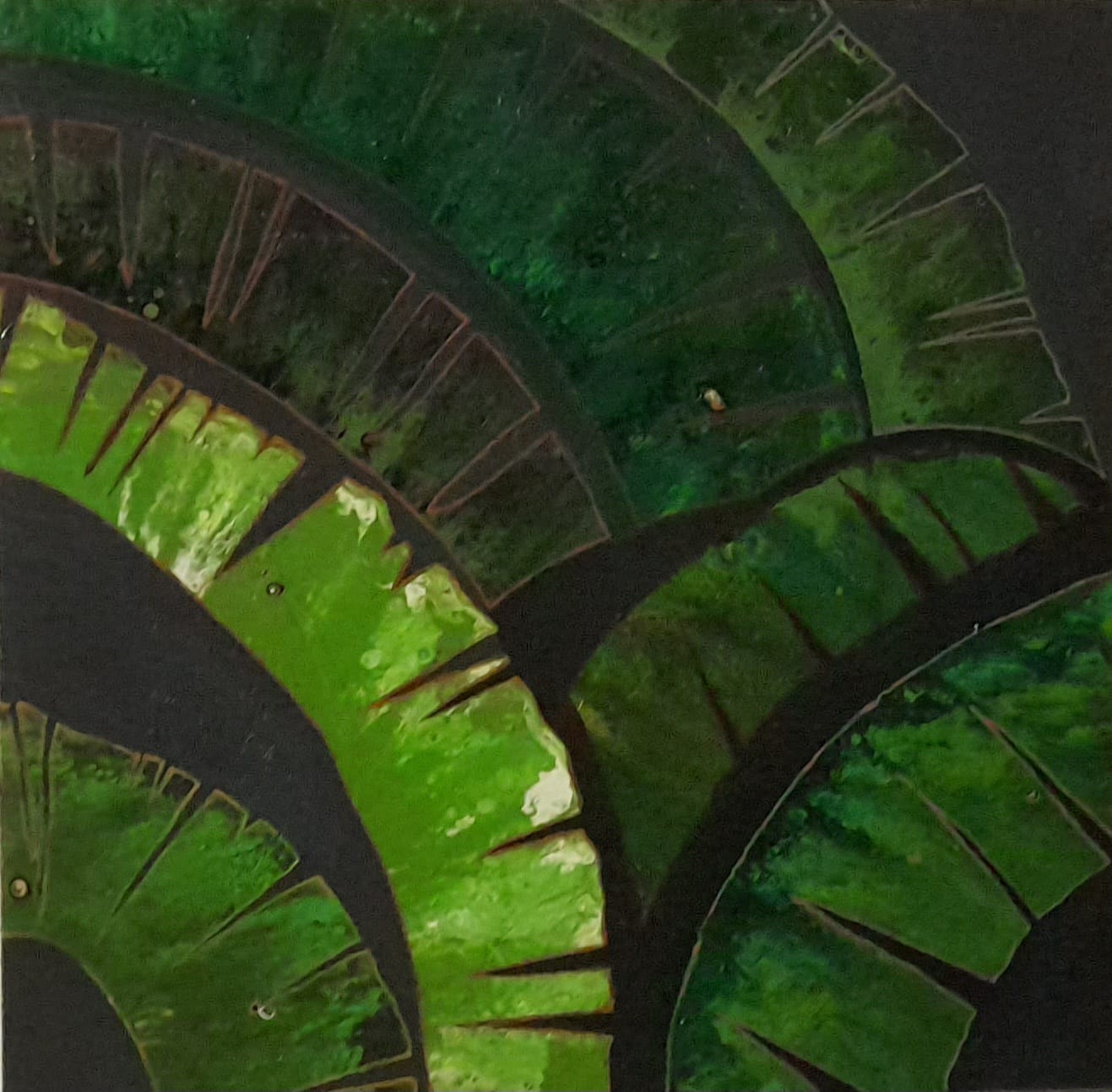Banana grove by V A Achini Indika featuring lush green banana leaves