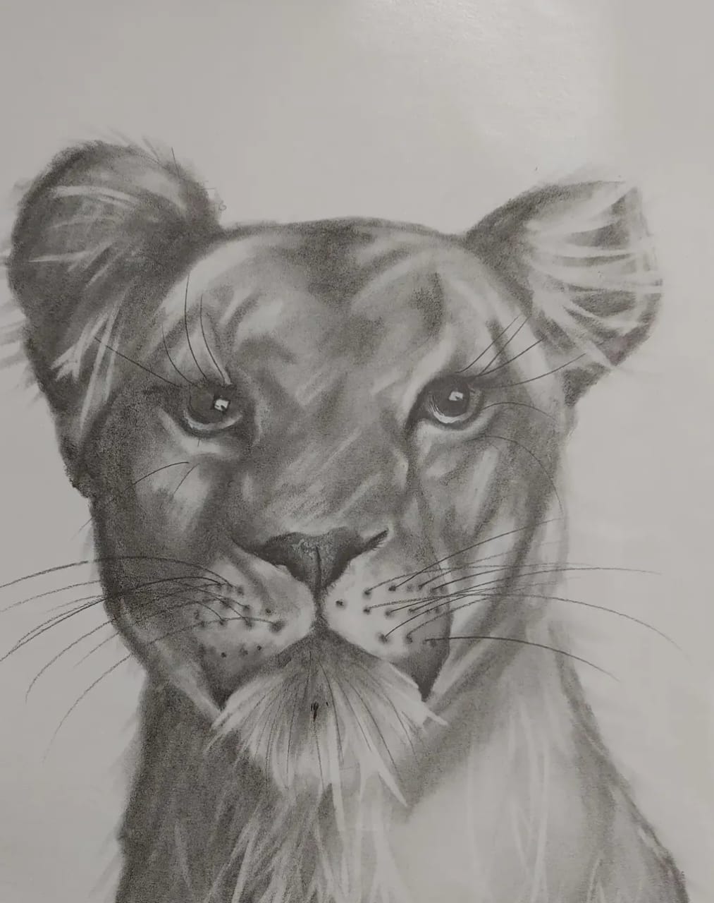 Queen of the Wild by Yolandi Koch, detailed portrait of a lioness