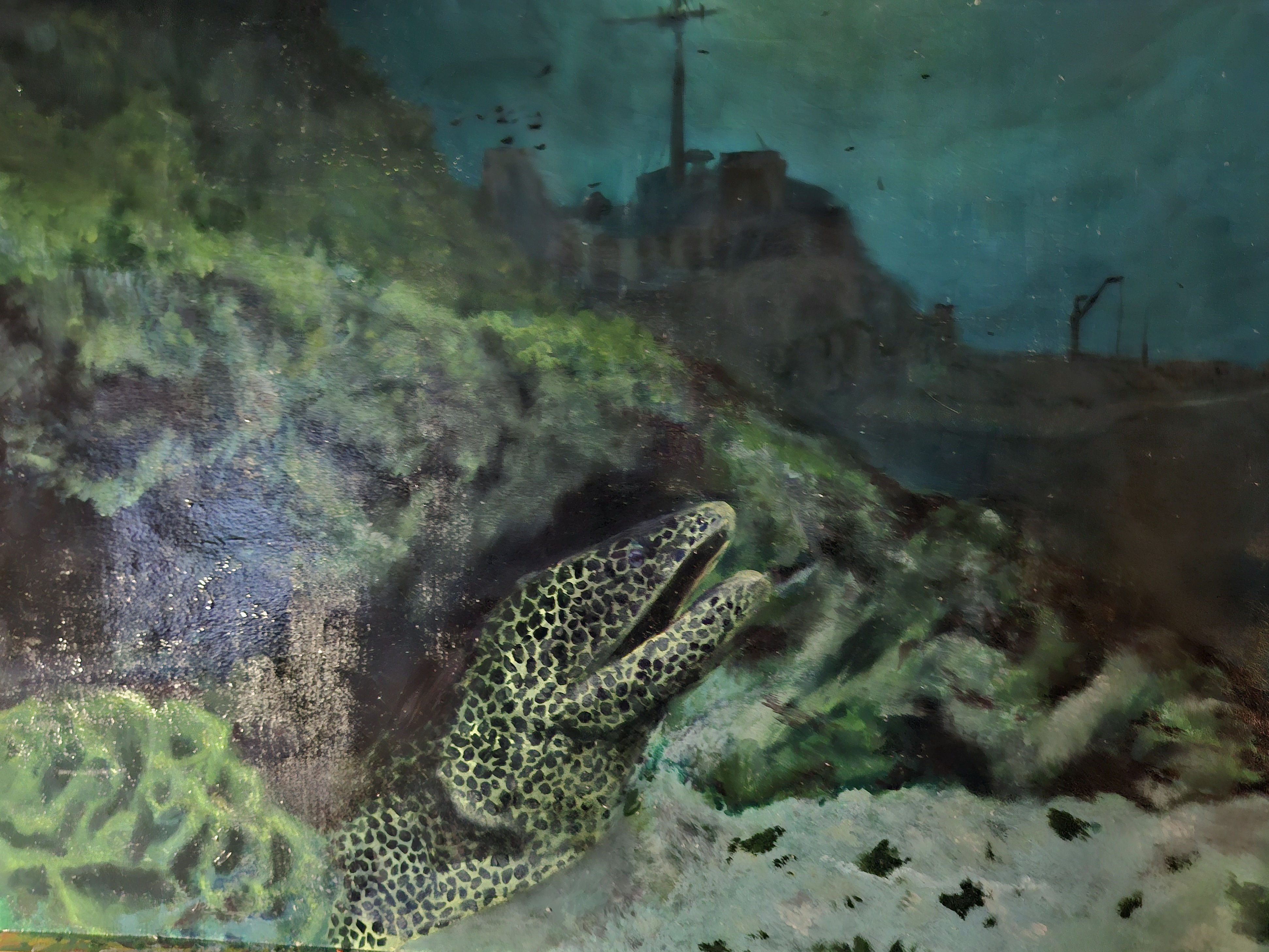 Depth Of Greed by Lana van Zyl, featuring a moray eel with yellow and black spots emerging from a rocky crevice