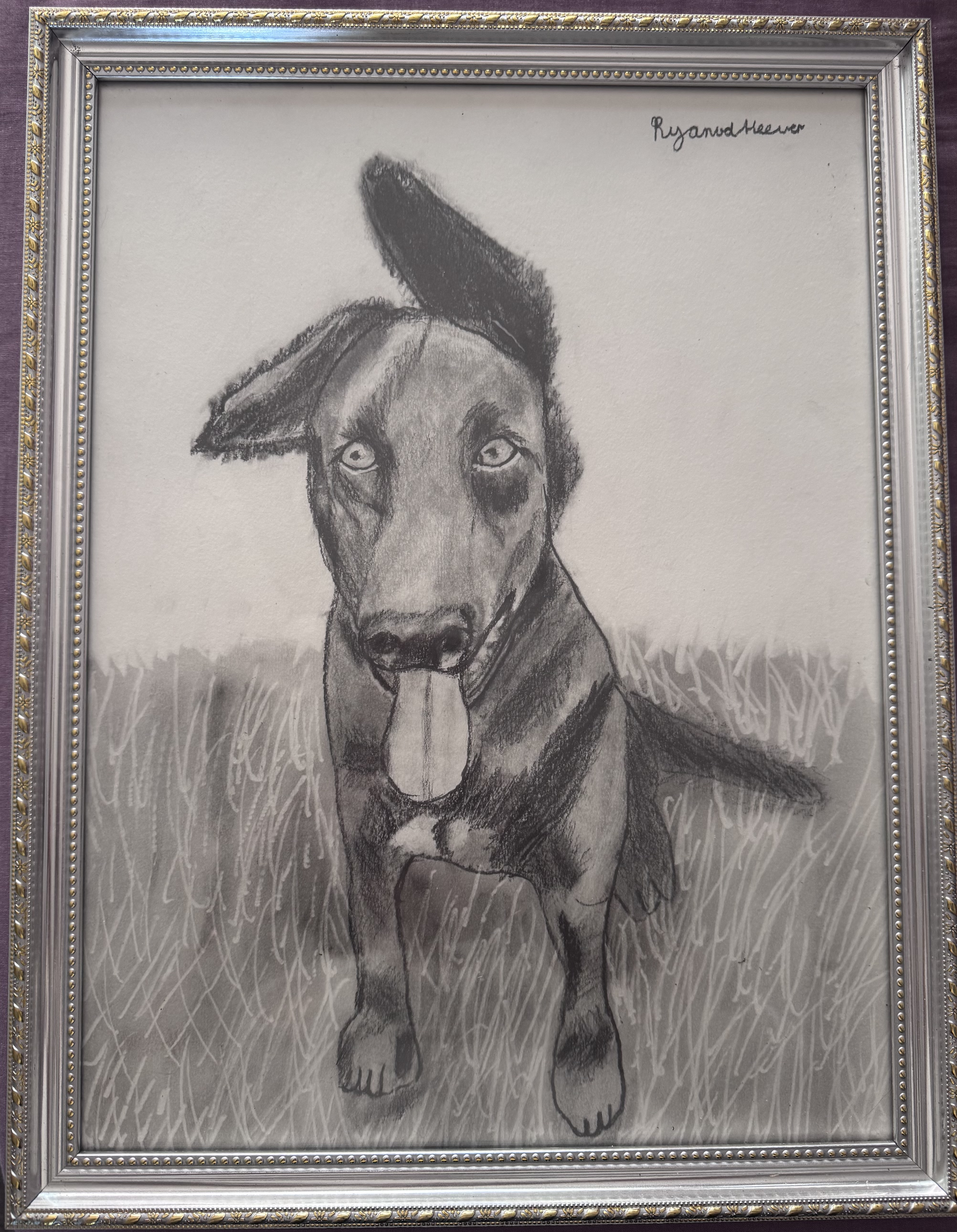 Oreo by Ryan van den Heever, pencil sketch of a playful dog