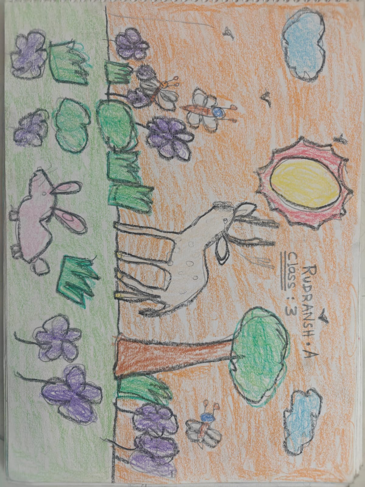 Garden by A.Rudransh - vibrant depiction with pink rabbit