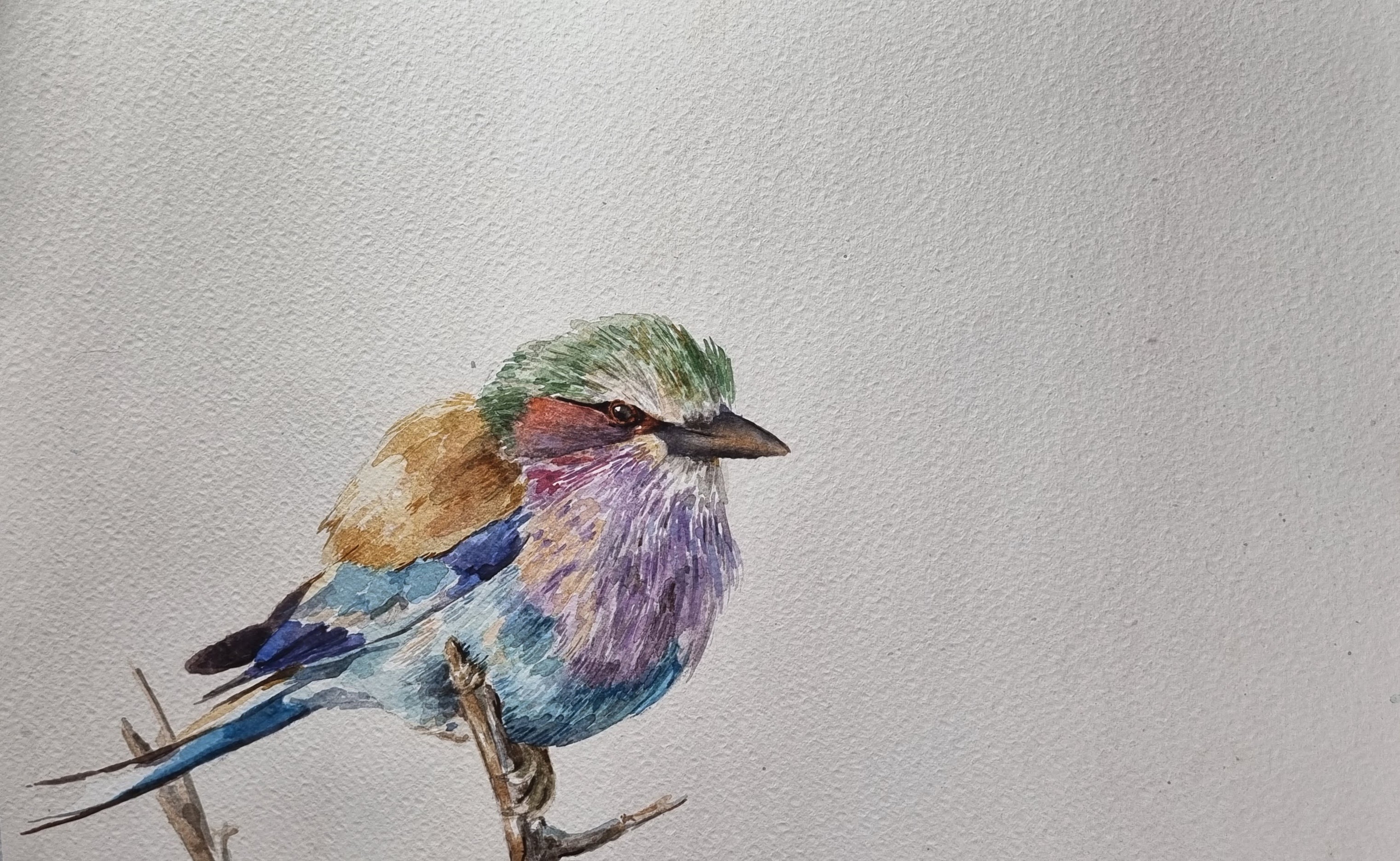 Lilac-Breasted Roller by Kim Brink, vibrant depiction of a bird on branch
