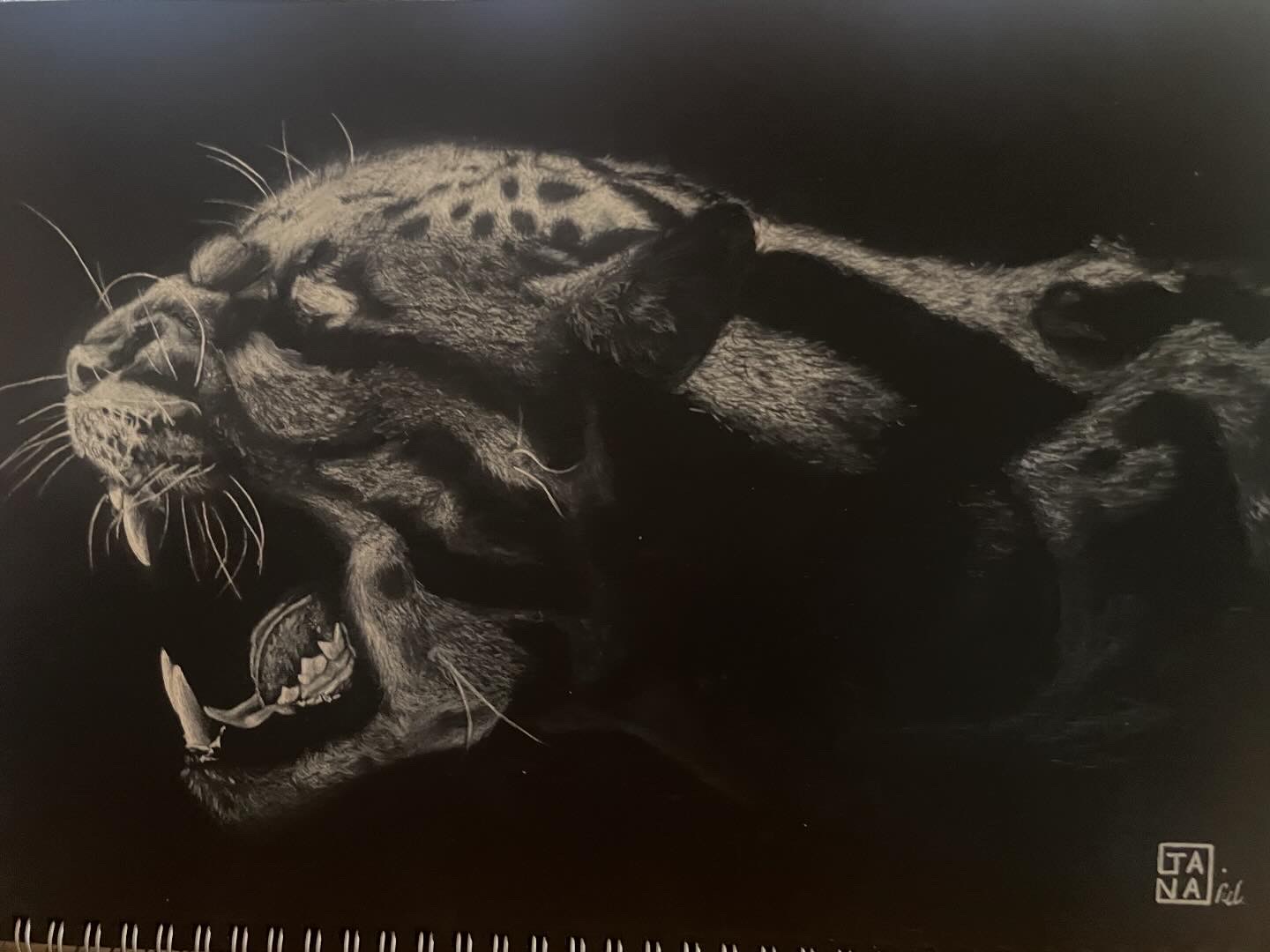 Ocelot by Jana, detailed ocelot head profile with sharp teeth