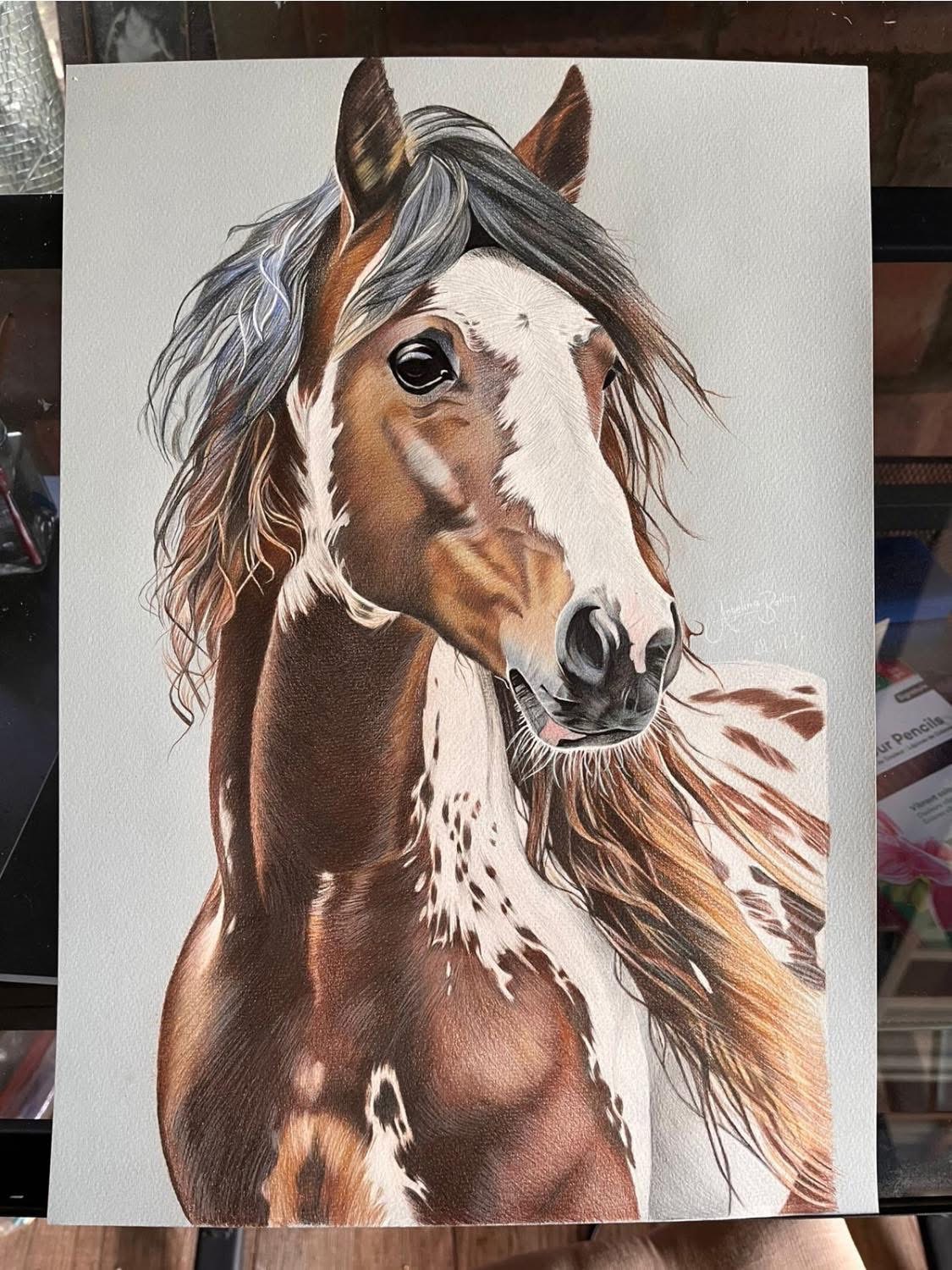 Patience by Angelina Bailey, a realistic colored pencil horse