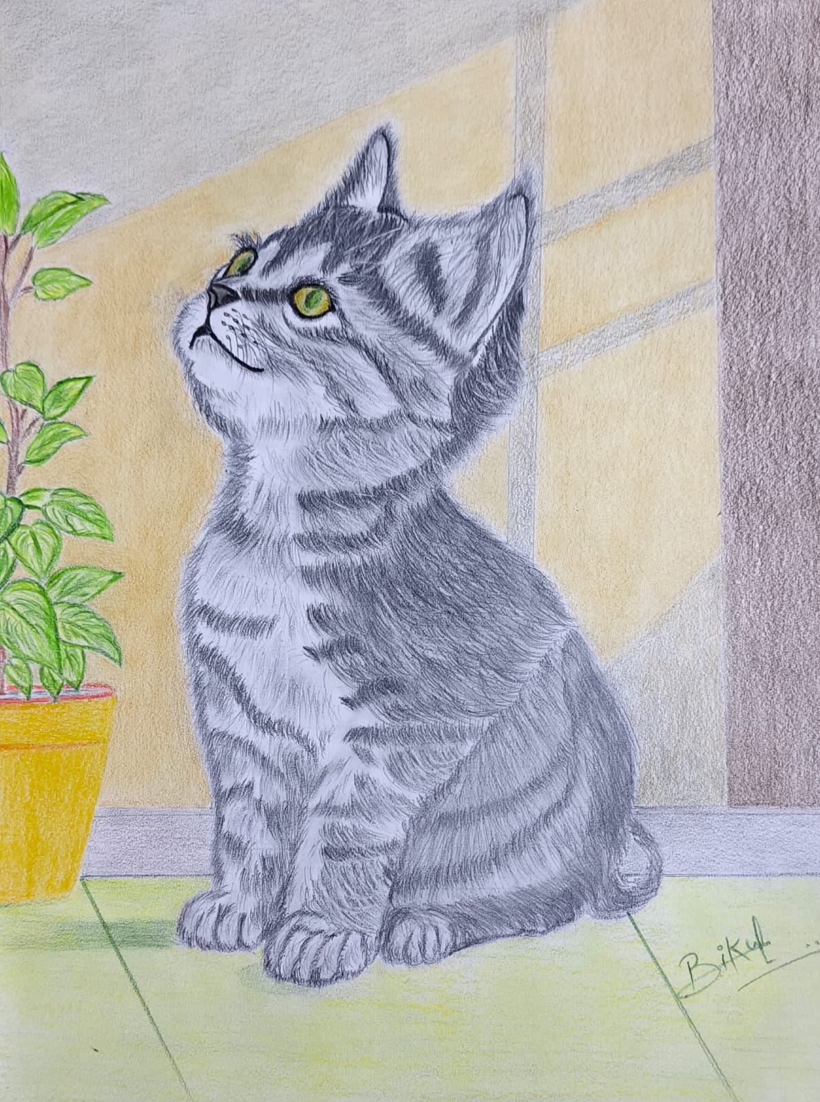 Emerald Serenity by bikul kamboj, realistic gray tabby kitten depiction