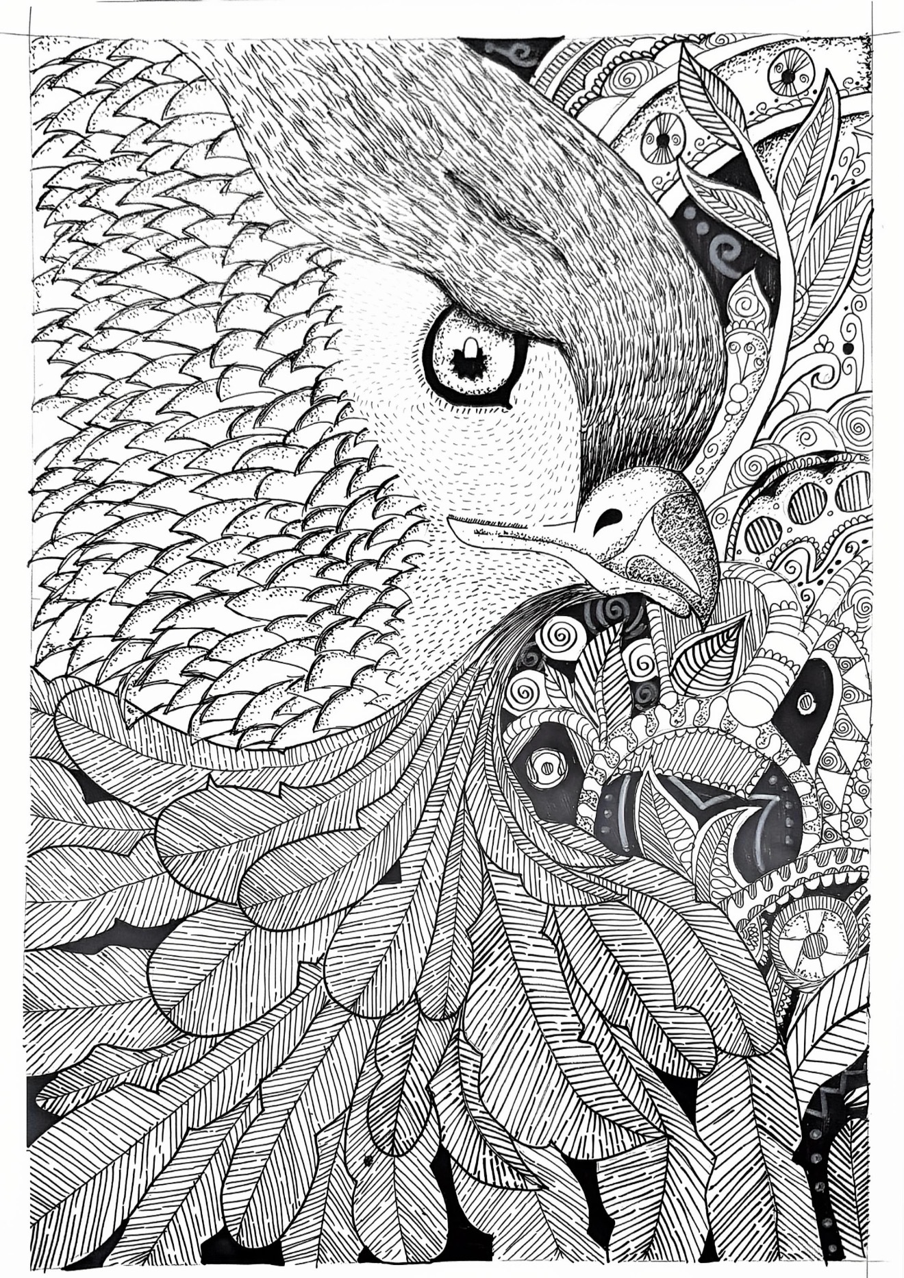 Monochrome Drawing by Ramesh Swastika featuring an eagle