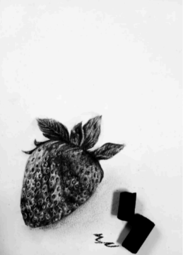 Graphite and charcoal work 