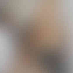 Veer shivaji potraiter