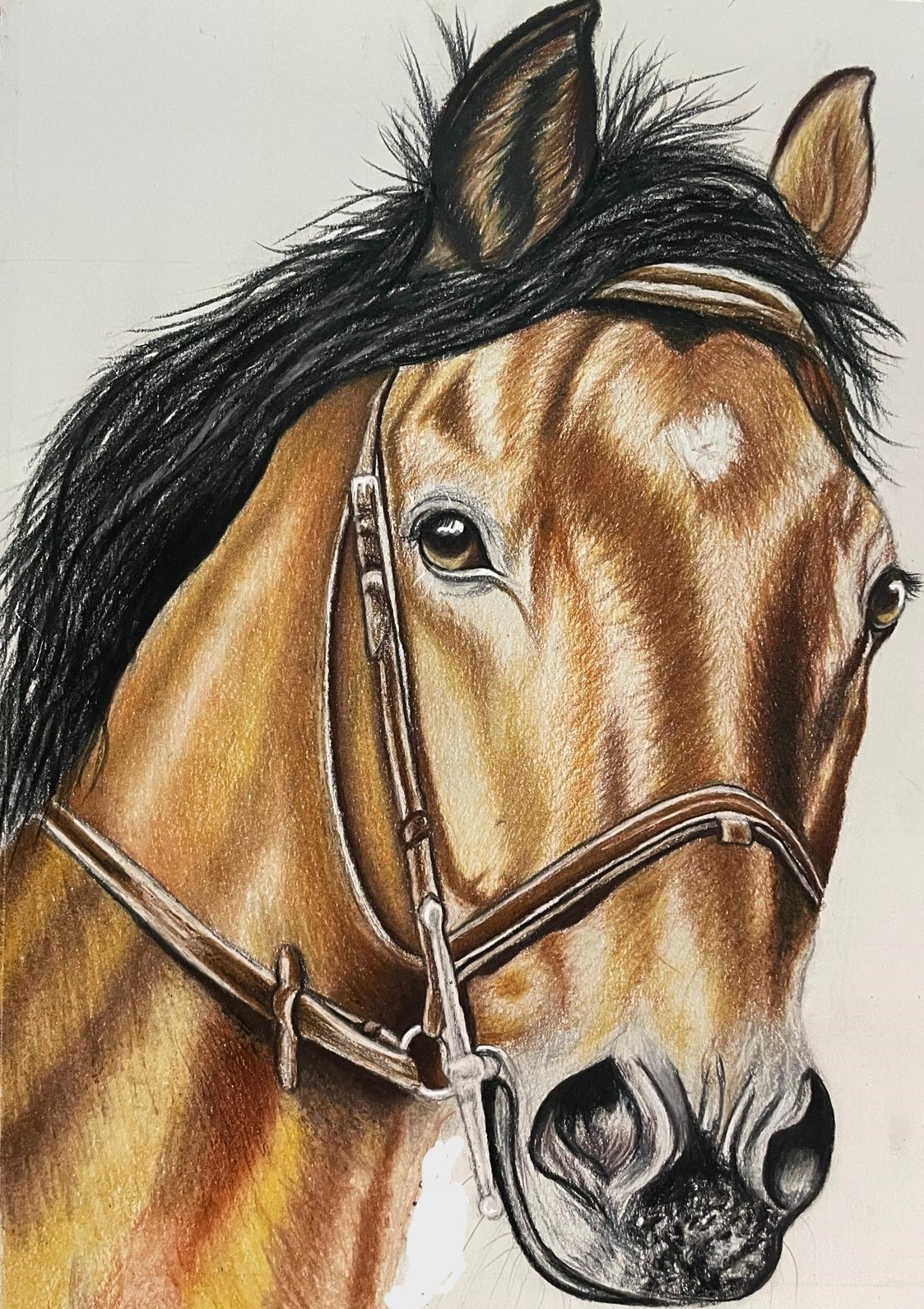 Riding the Sky by Saanvi Deb - close-up of a horse's head in warm browns