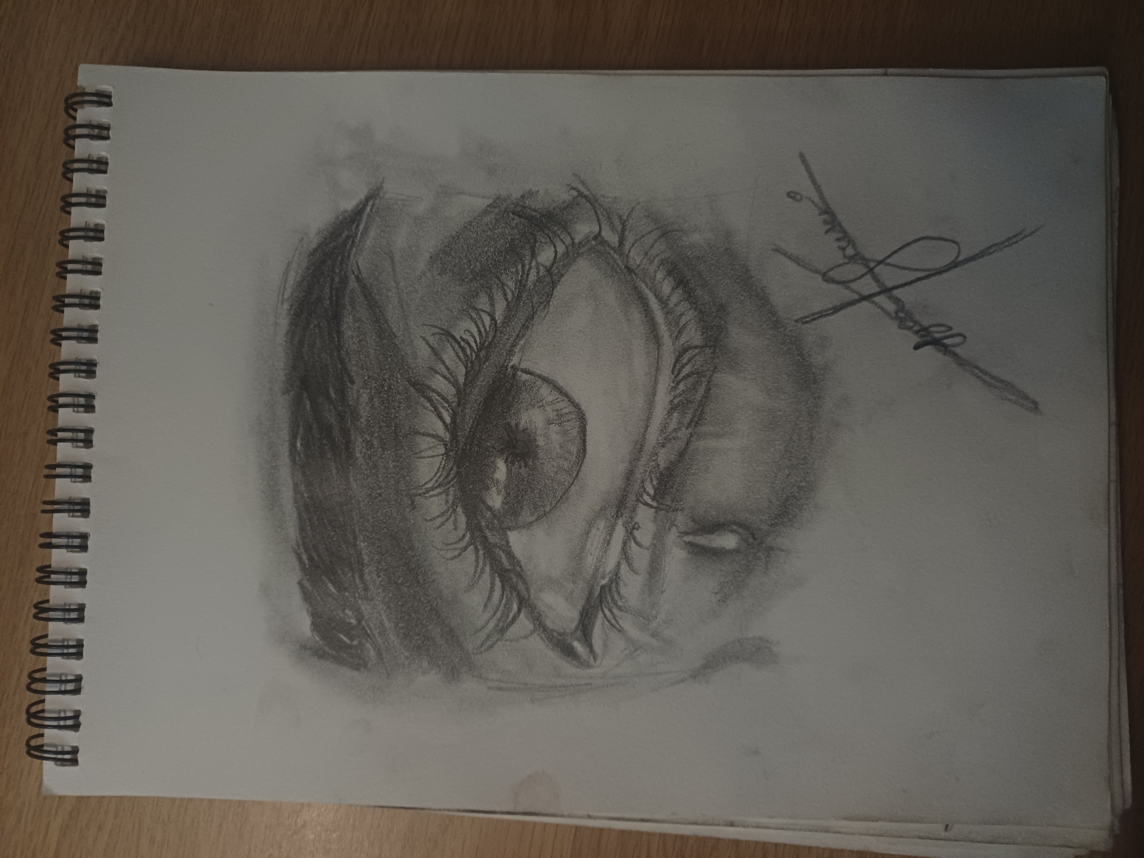 In the eyes of the beholder by Lyla-Kay, drawing of an eye with expressive lines