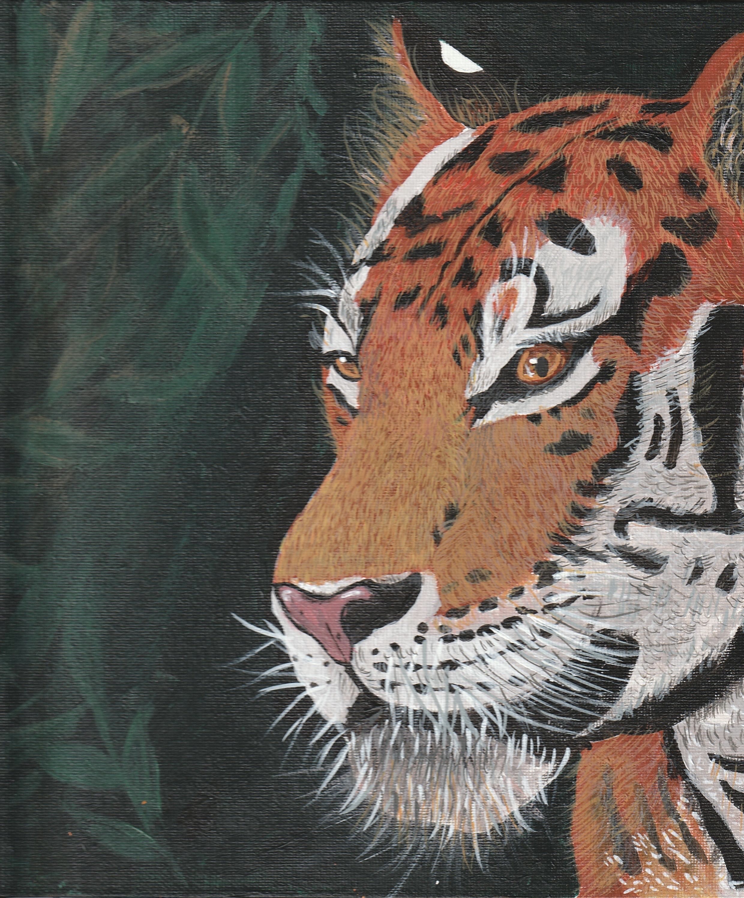 Silent Watcher by Soumya Gade - close-up of tiger's face