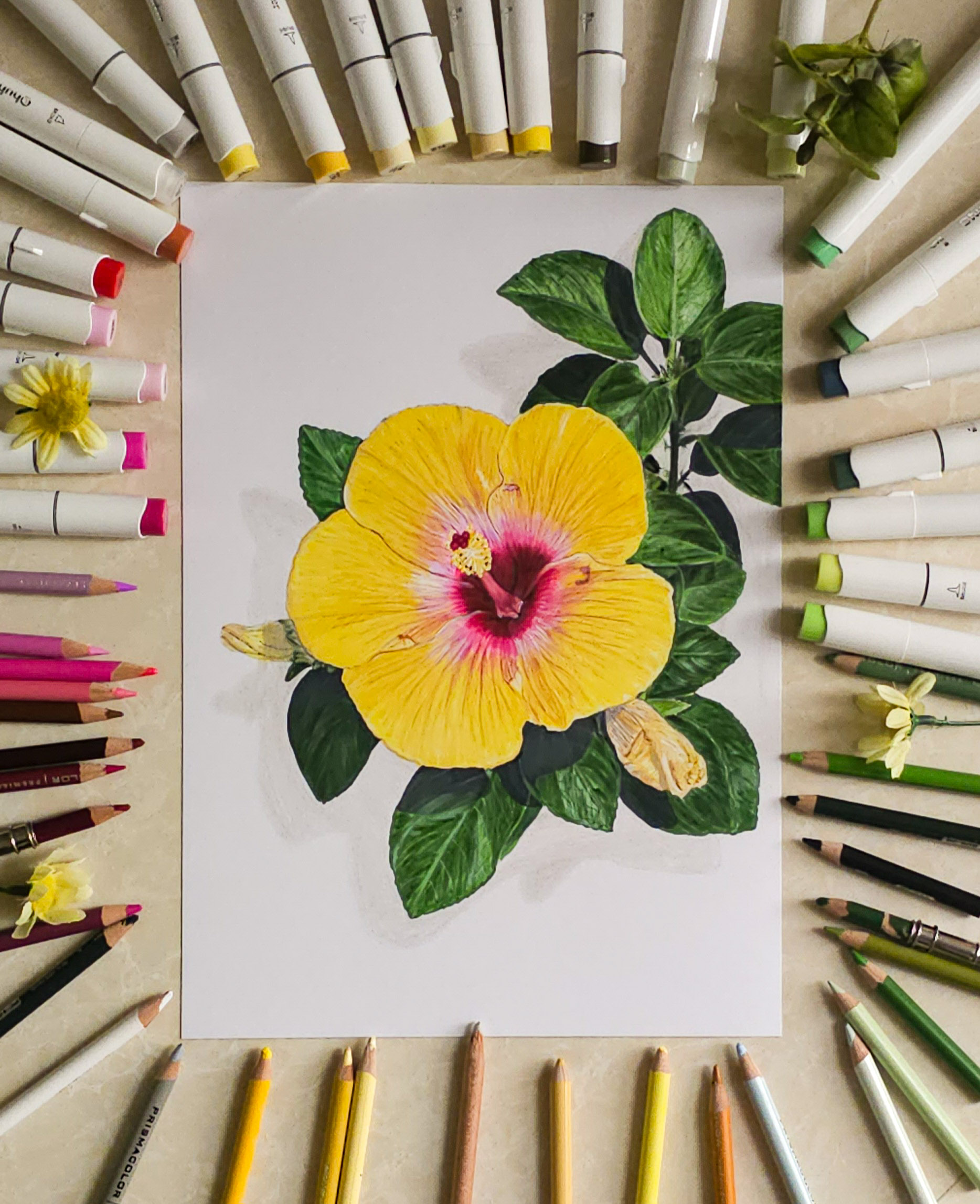 Sunshine Hibiscus by Rahmat Gouse, depicting a yellow hibiscus with a pink center