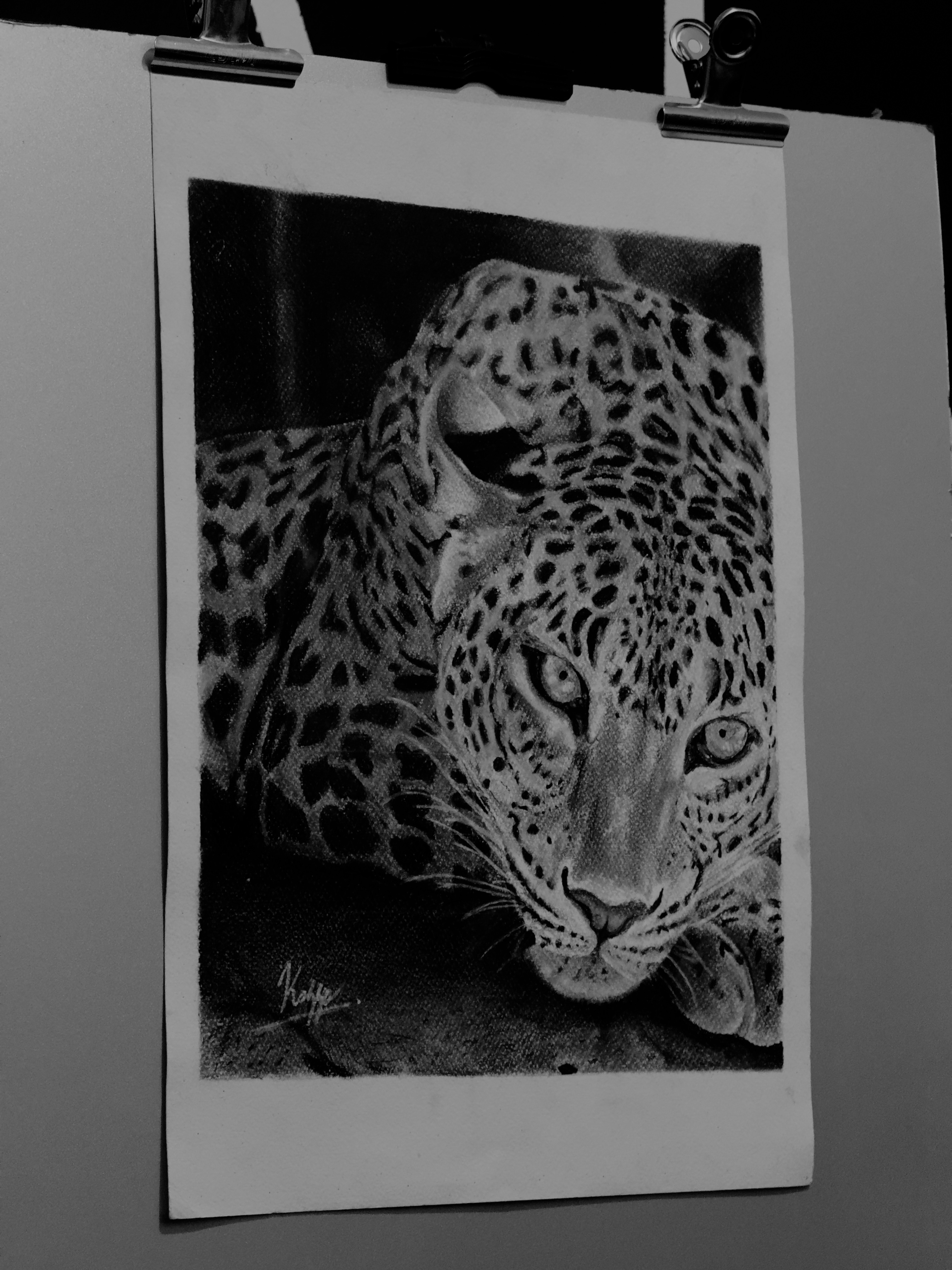The Sri Lankan leopard by Kasun Kalhara Maluddeniya, detailed portrait of a leopard crouching with piercing eyes