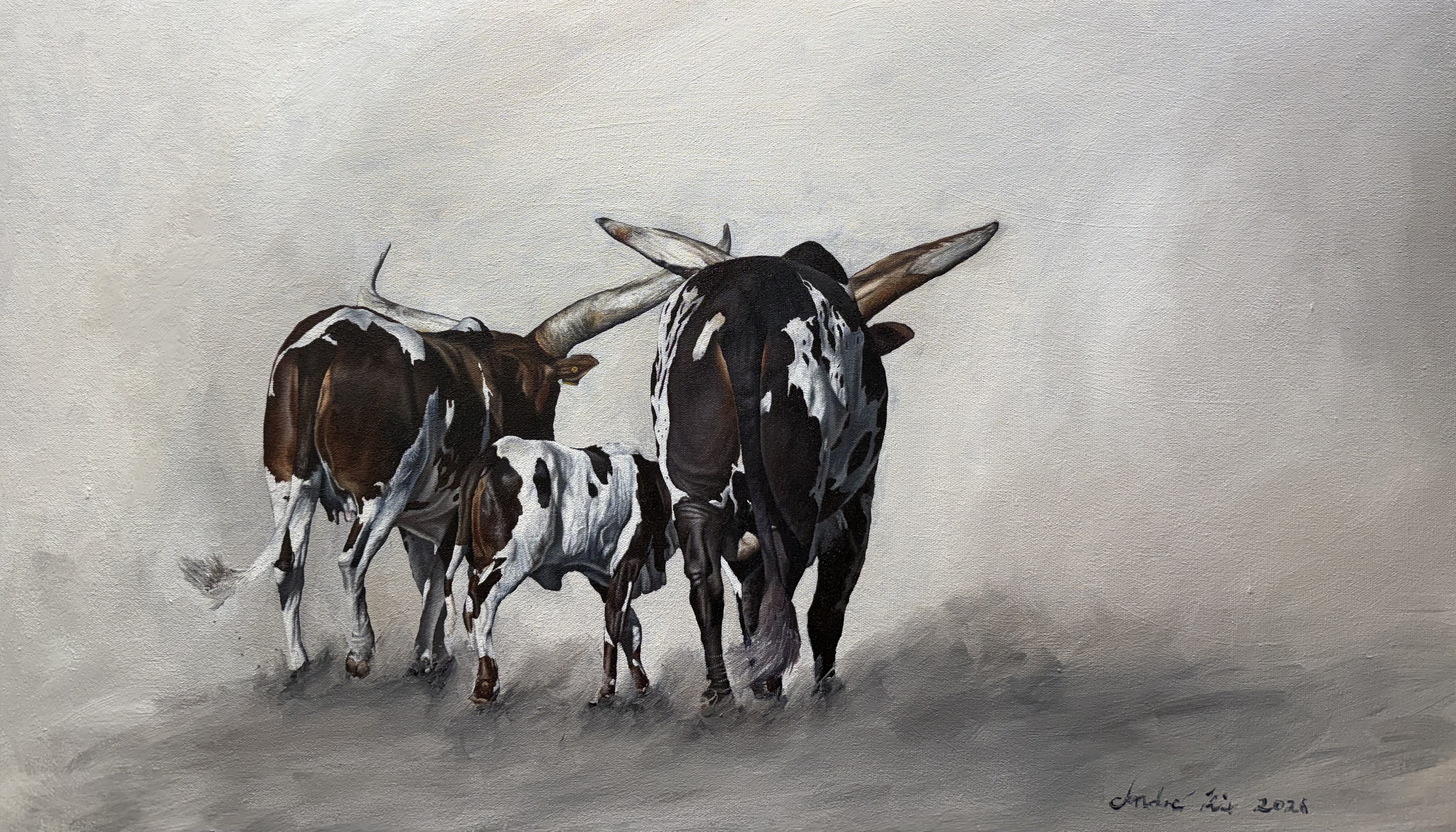 Ankole family by Andre Rix, featuring Ankole cattle walking away with large, curved horns
