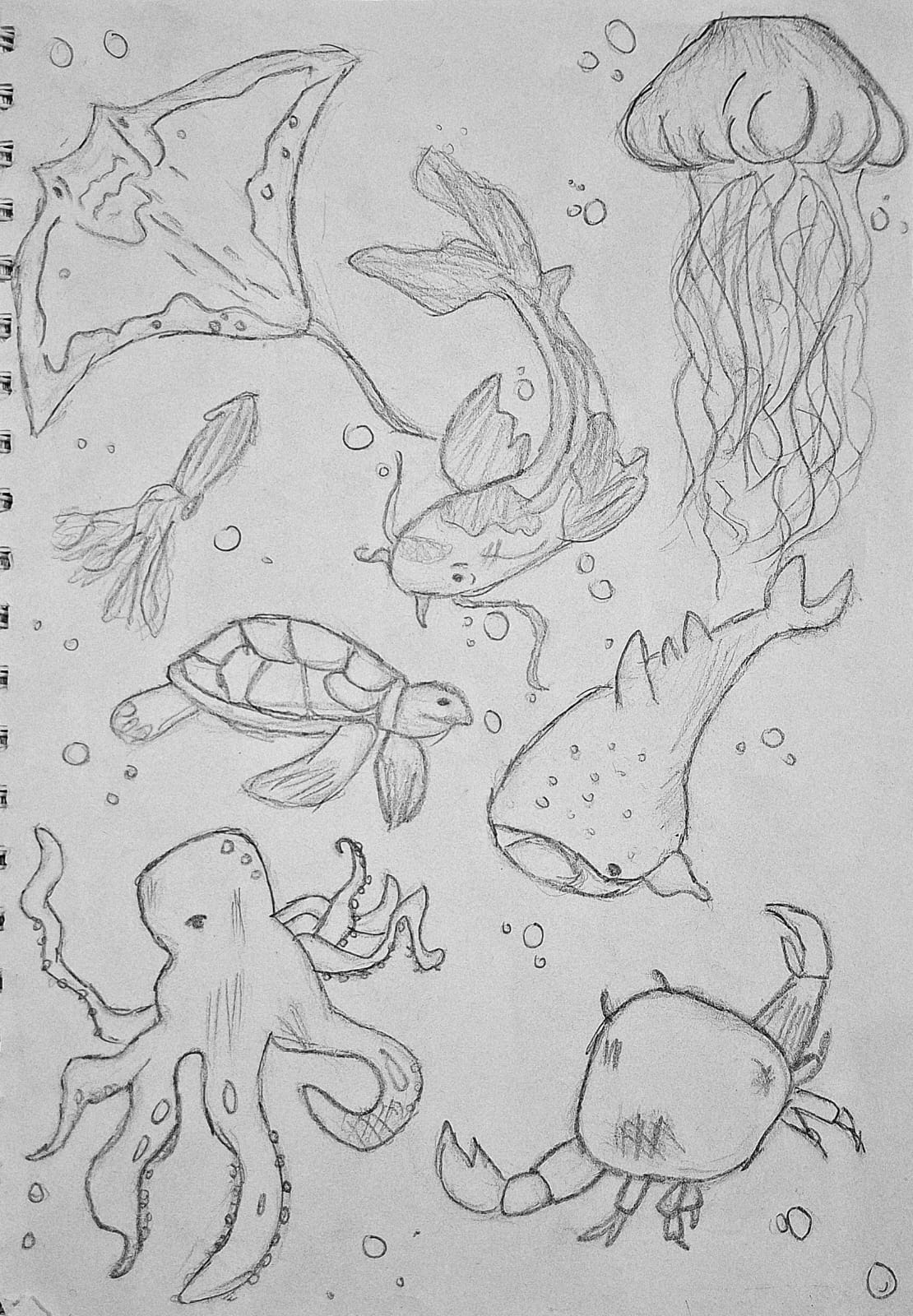 Sketching: Pencil/colored pencil drawings by FIZA KHAN, illustrating marine life with stingray, jellyfish, turtle, fish, octopus, and crab