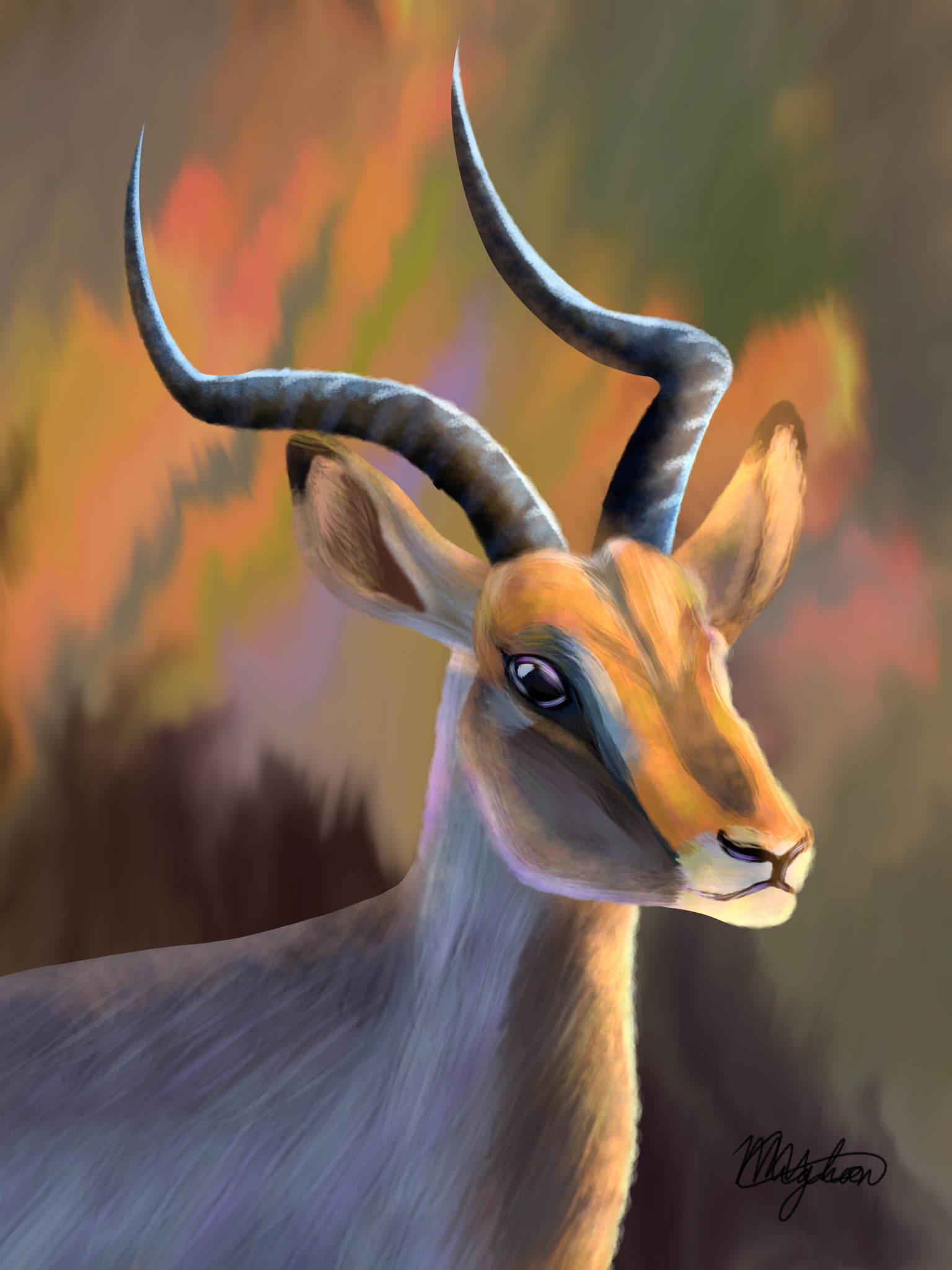 Sunset Impala by Mignon Malherbe featuring an impala at sunset