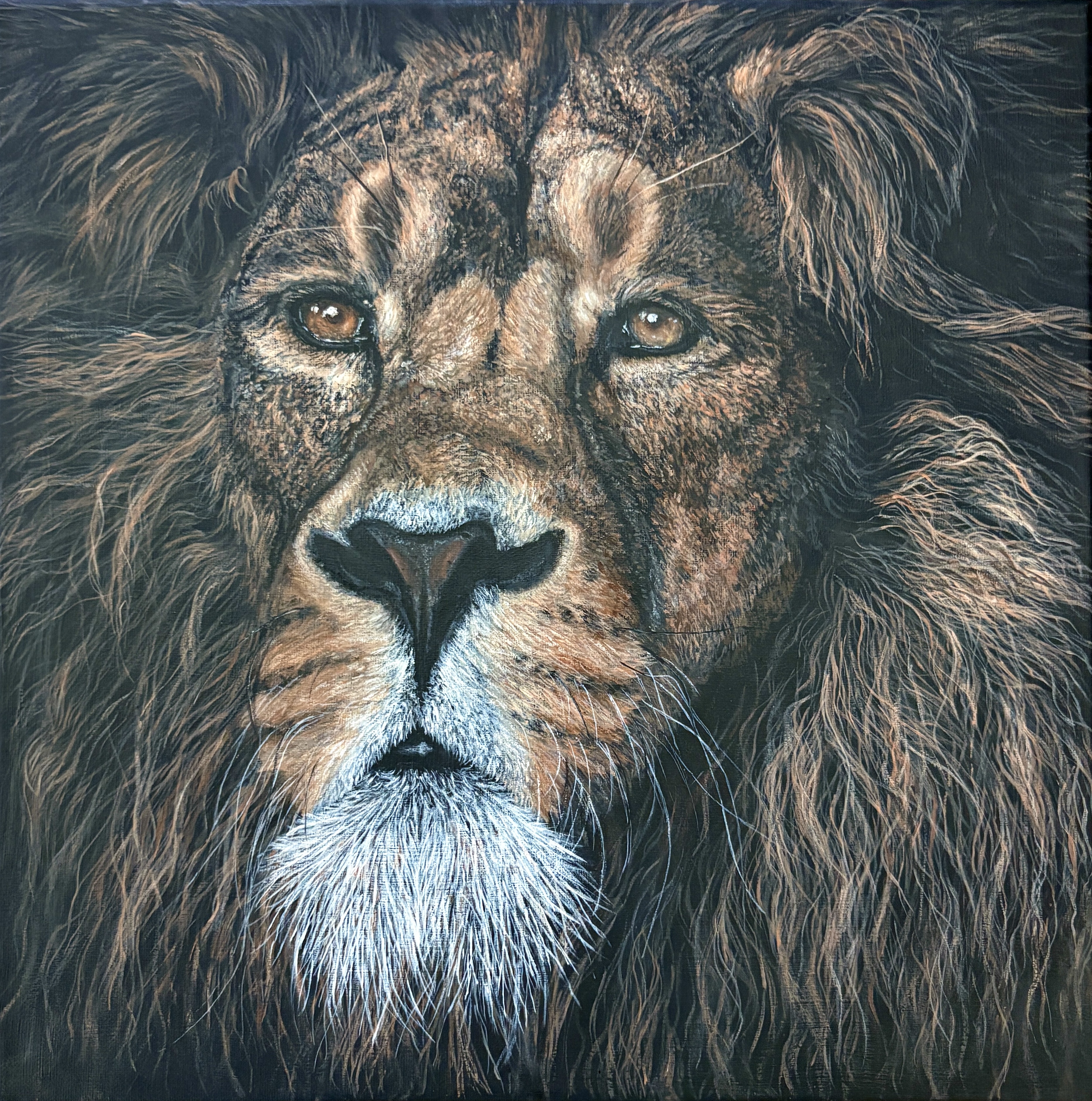 Humility by Campbell Sampson, portrait of a lion's face with detailed mane