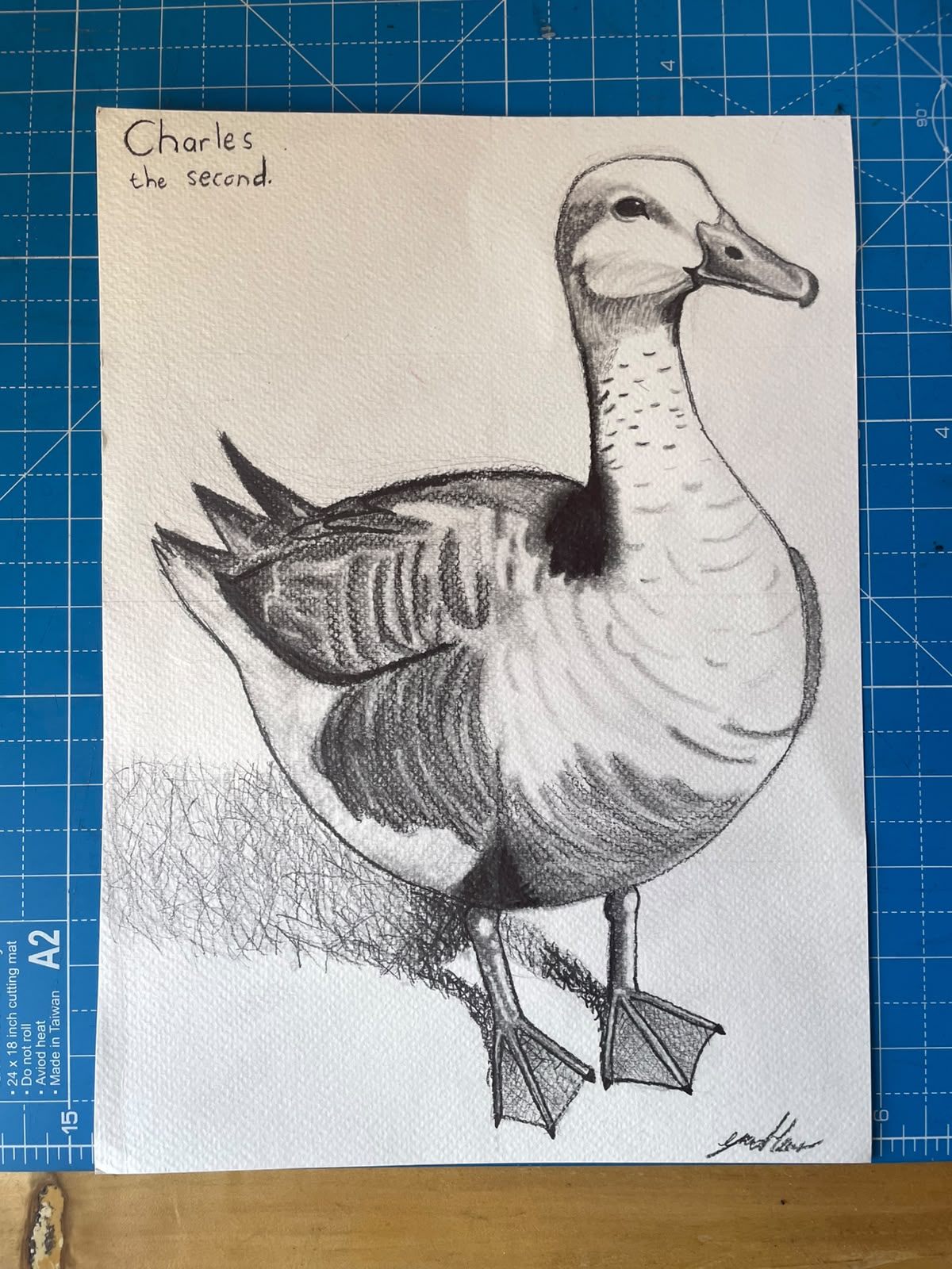 Charlie The Goose by Gillian van den Heever, detailed drawing of a goose in side profile