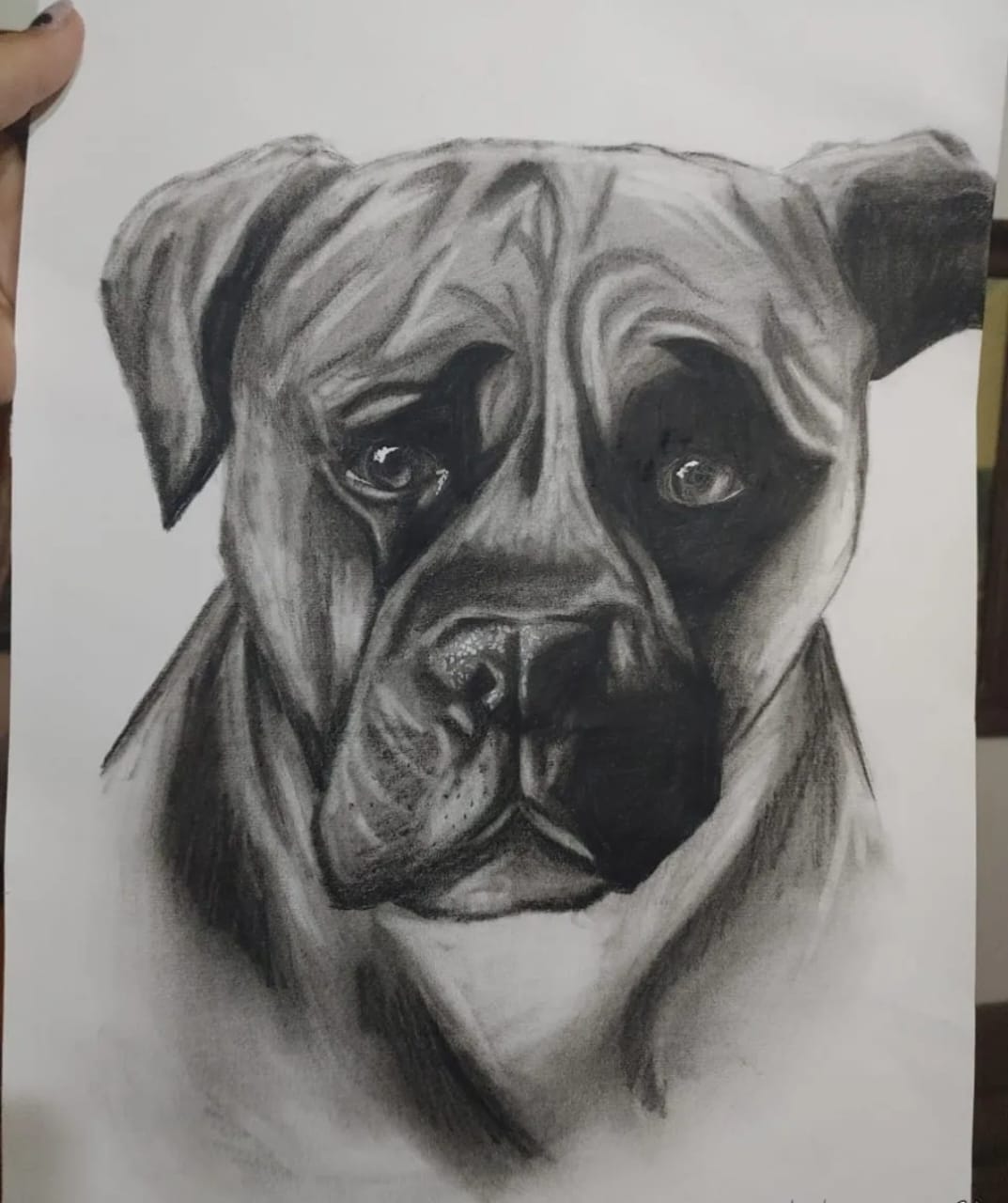 Silent Eyes by Yolandi Koch, a detailed portrait of a dog's face