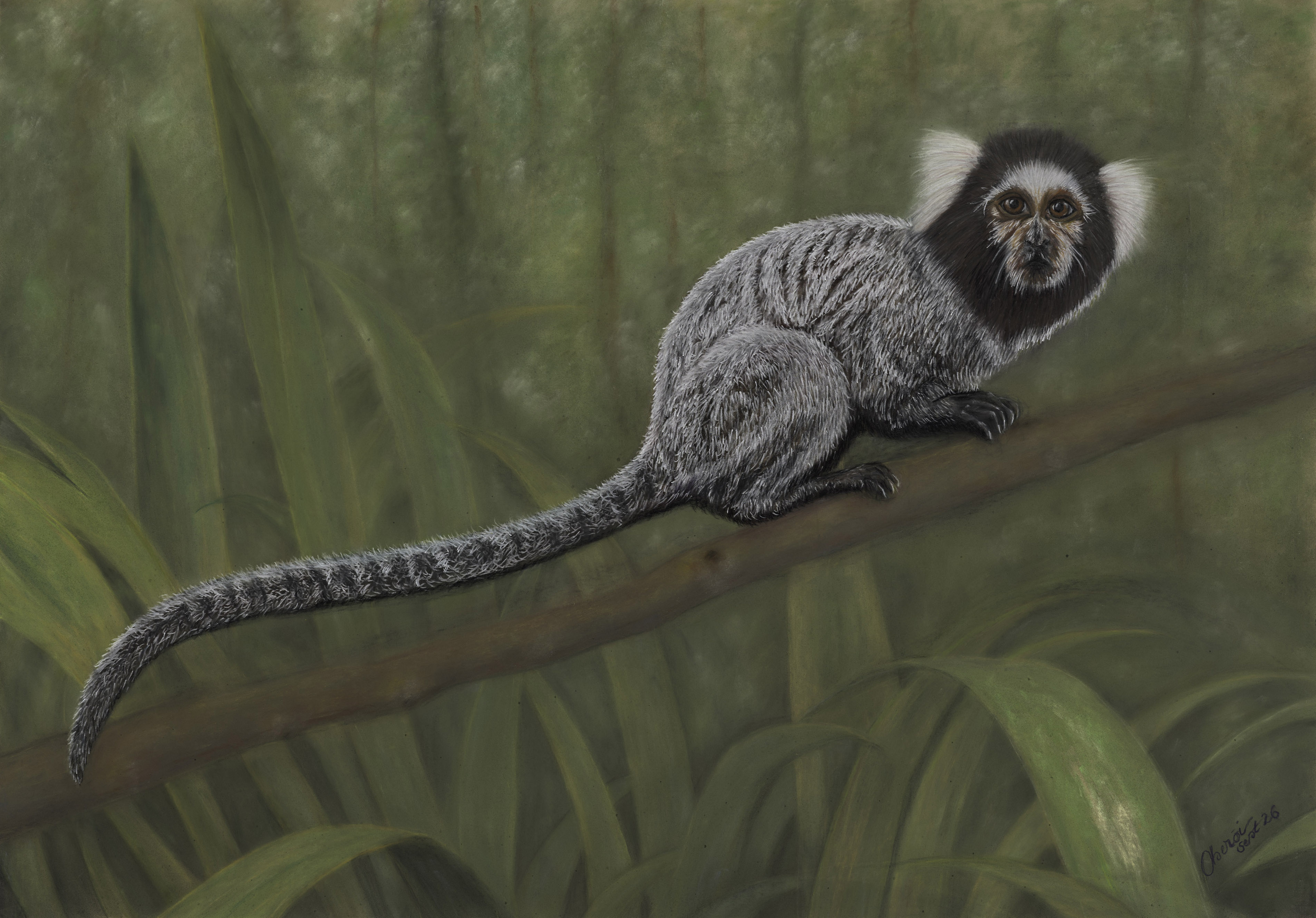 Virtual Liberation- from a cage to tropical forest by GAJINDER OBEROI, depicting a marmoset in a lush, tropical setting