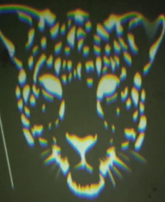Leopard by Kolagani sampath kumar - silhouette with spectral colors