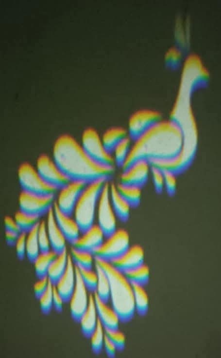 Peacock-Artificial Rainbow Designing image by Kolagani sampath kumar, vibrant stylized peacock with rainbow plumage