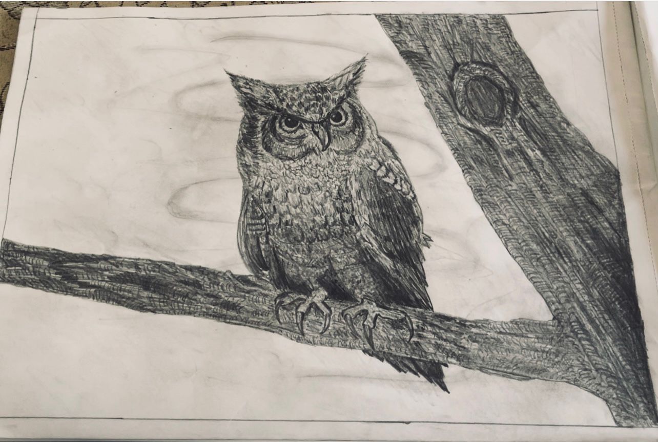 The Silent Watcher by Lubabah Khan - graphite owl on branch