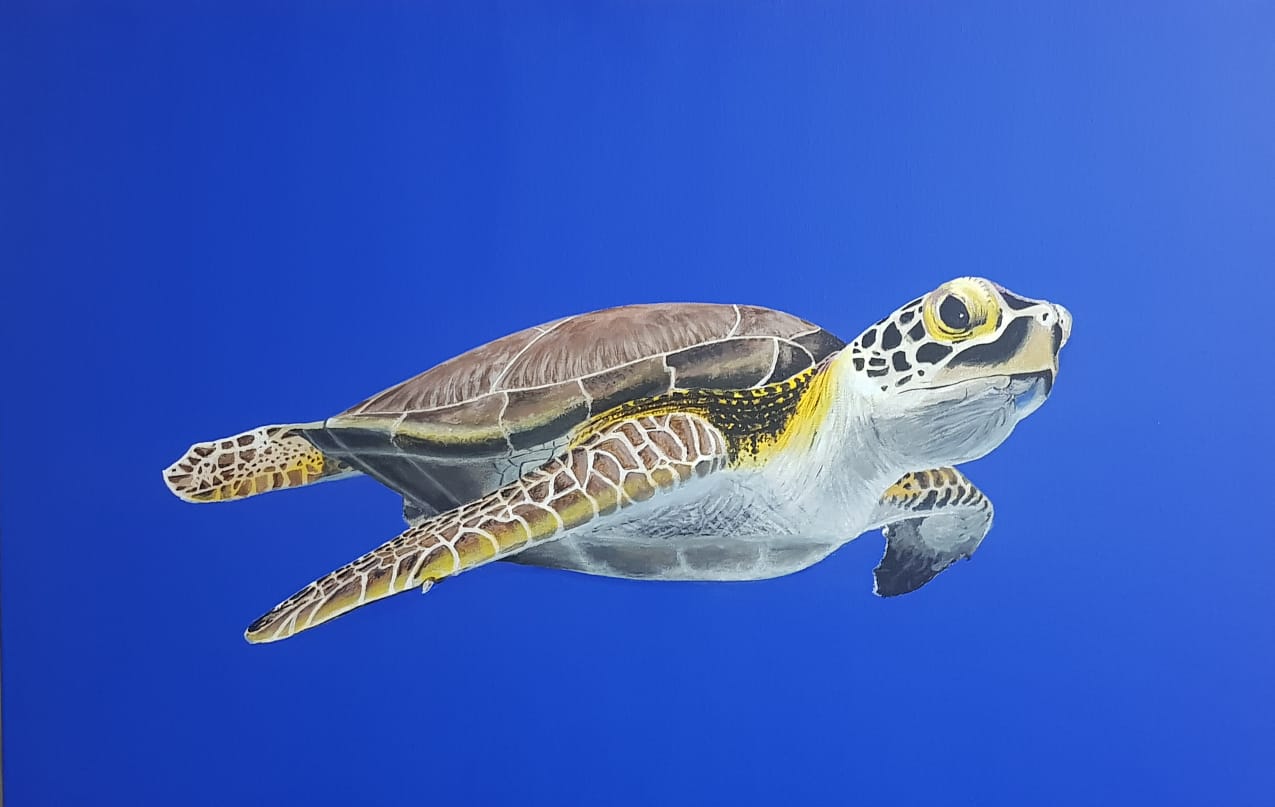 Sea Turtle by Marelize Huysamen, depicting a swimming sea turtle with a detailed shell in blue water