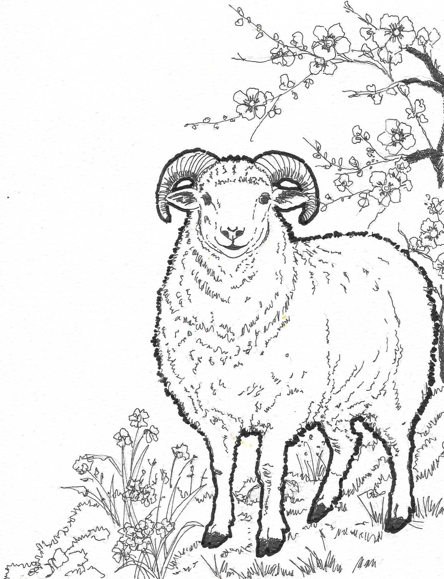 Year of the Sheep by Kennette Ann Ditablan - portrait of a sheep with wool coat and flowers