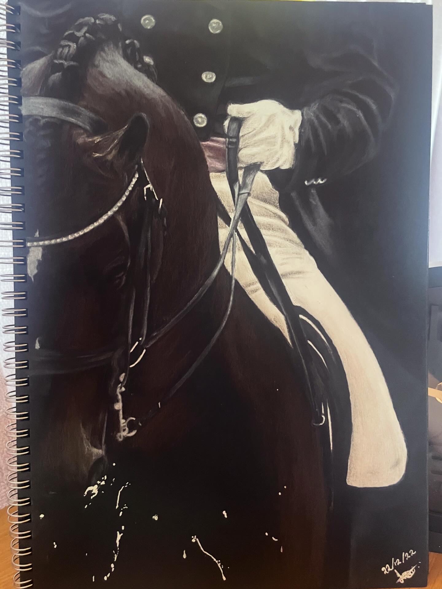Show horse by Jana Coetzee, close-up of a rider and a dark horse with braided mane